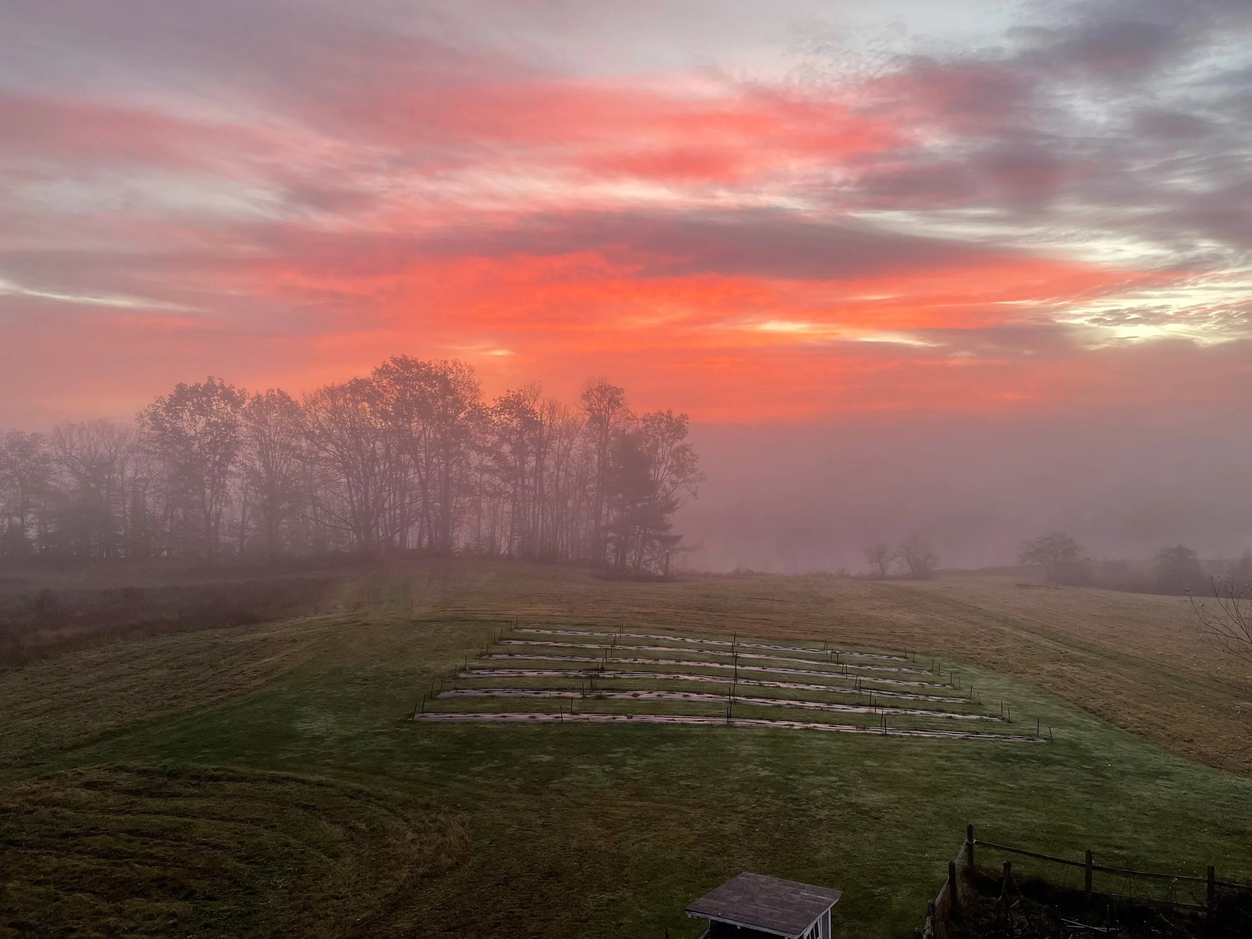 Alna Field by Scott Budde.jpg