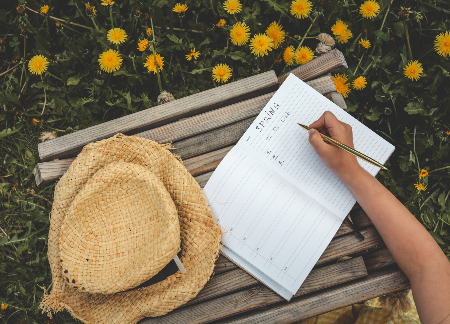 Reflecting on 2025. Looking to 2026.