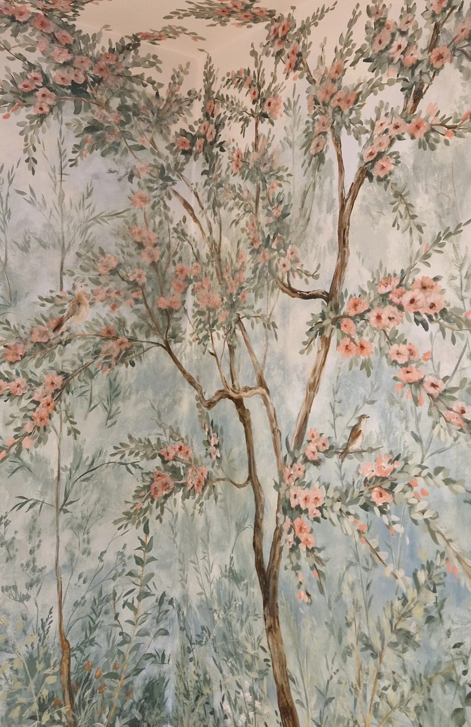 Camillia tree.jpg