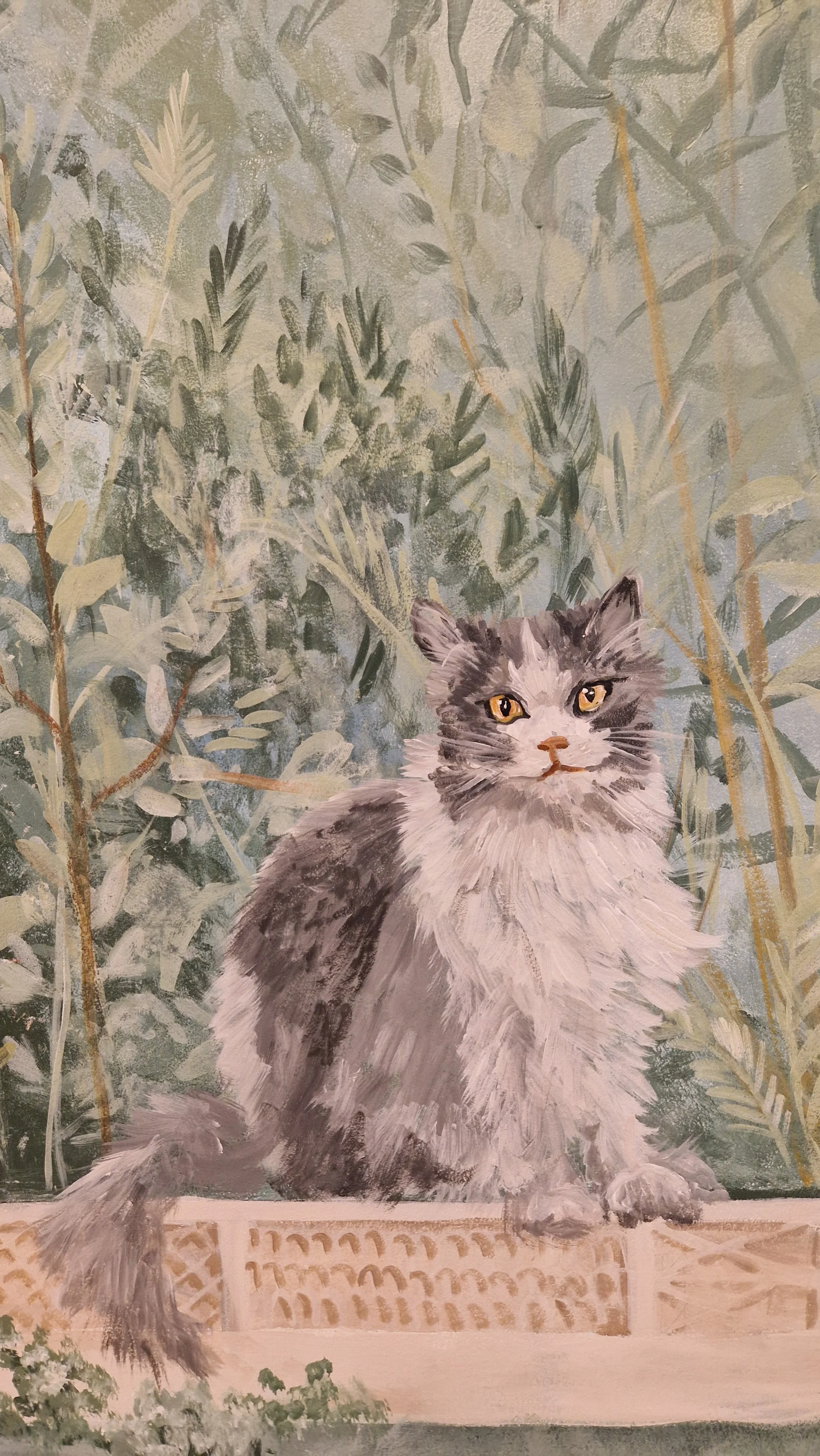 Cat .jpg