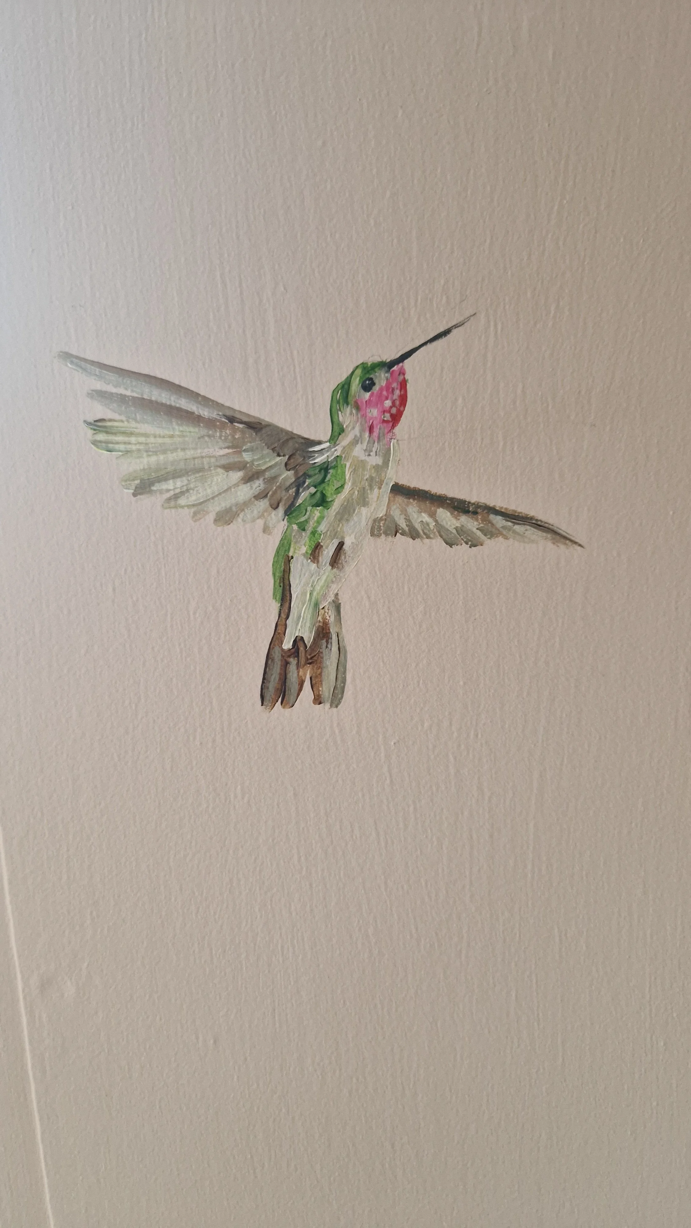 hummingbird.jpg