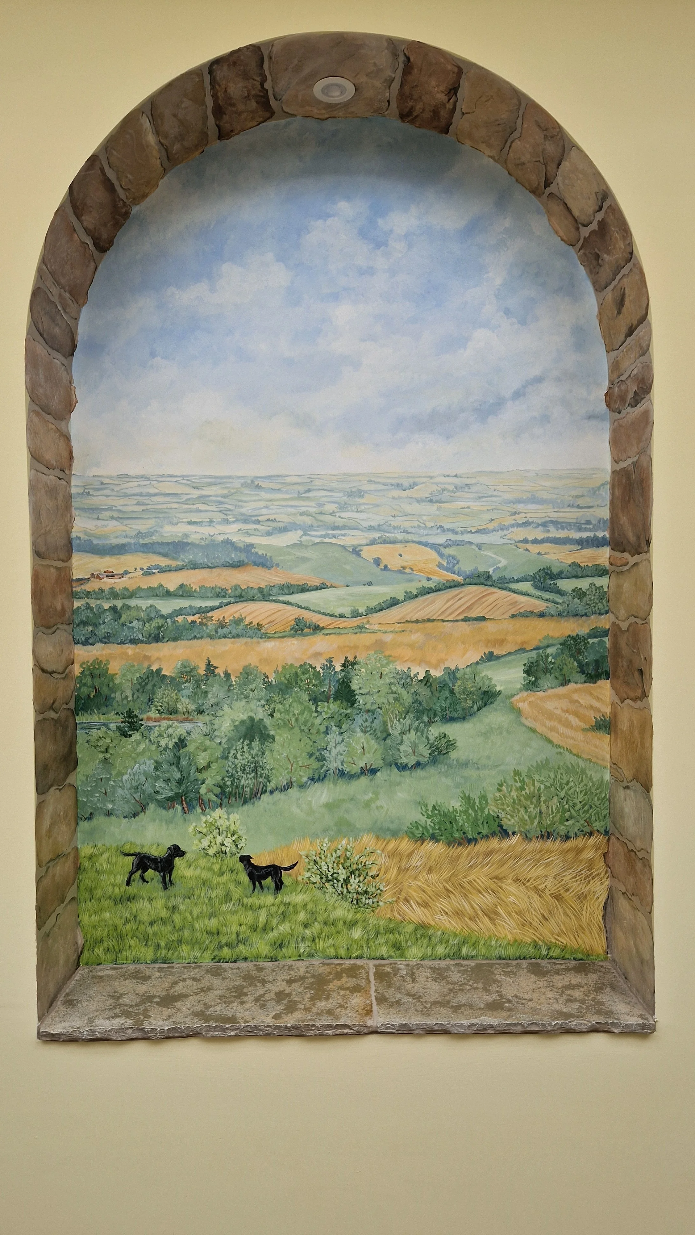 dog window 25.jpg