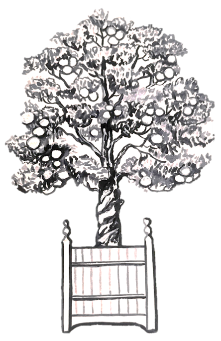 tree.png