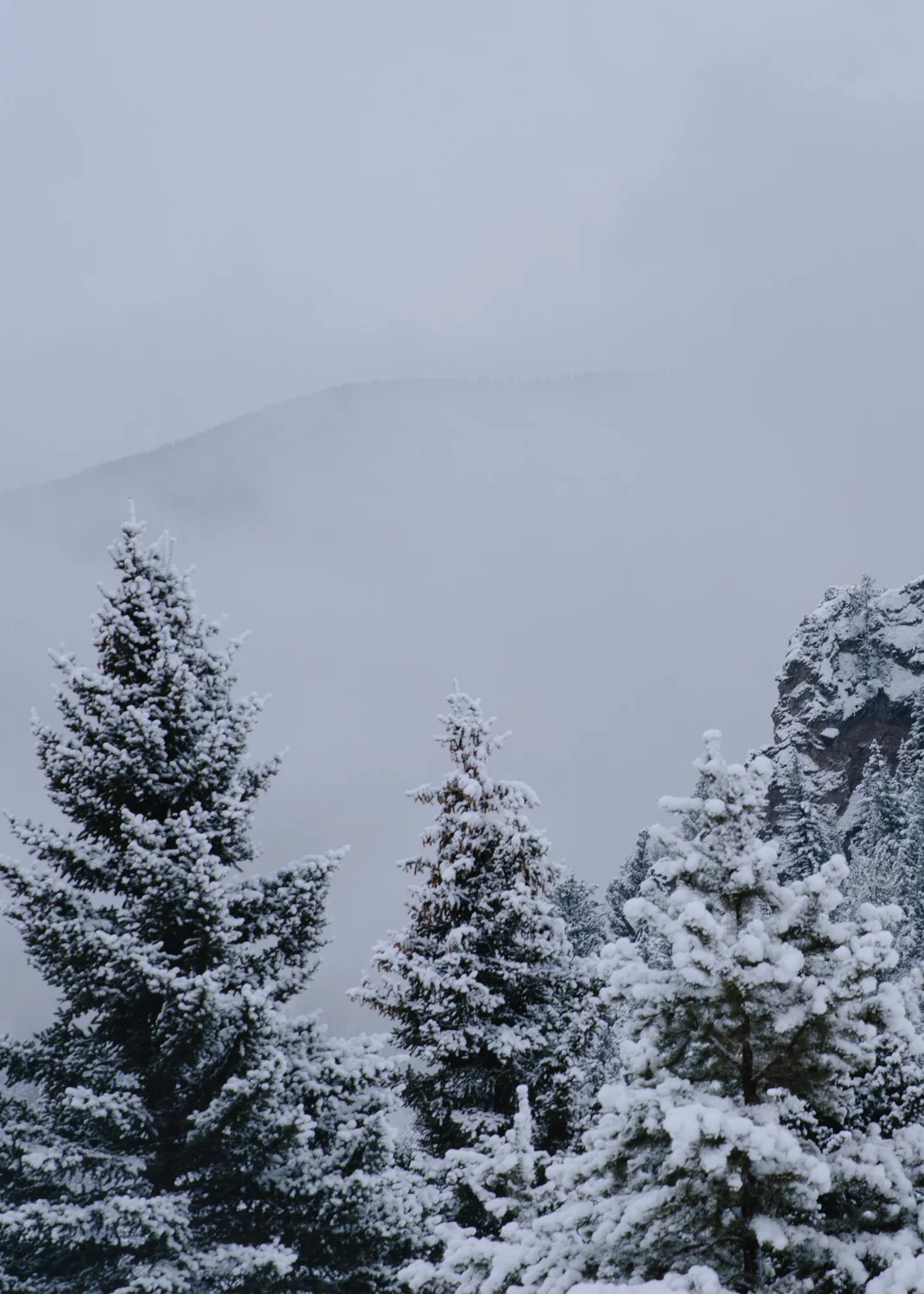 The clouds roll in below the meadow for a new storm, Montana is having an epic year.