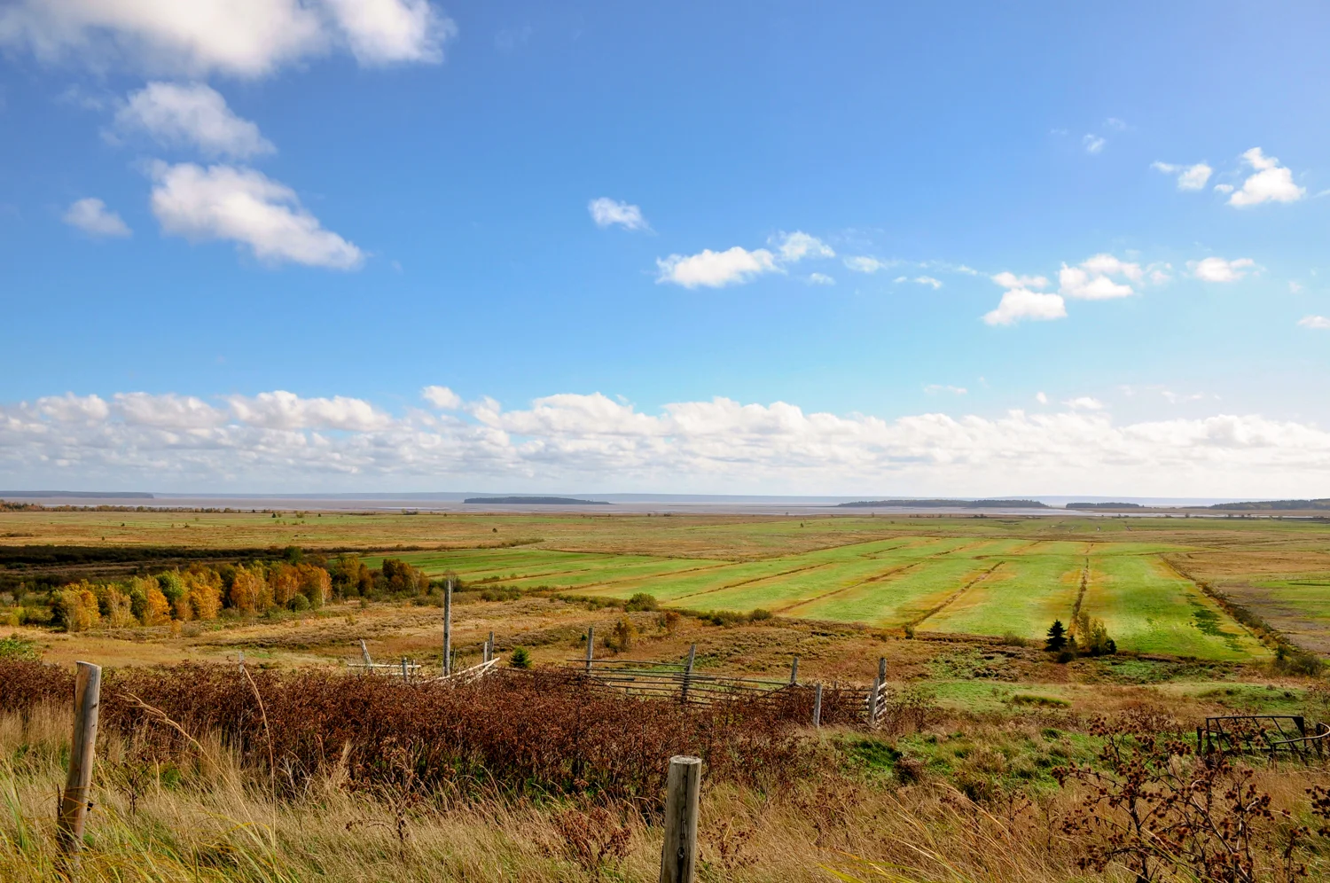 On the drive to the famed Hopewell Rocks on the Upper Cape we passed salt water ranches and farmland, like the ones I heard used to exist in my child hood home.
