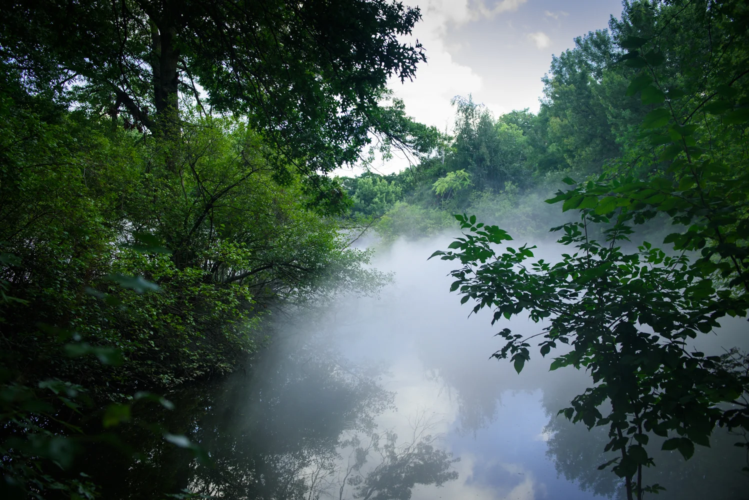 Fog x Island (#72509_Leverett Pond)