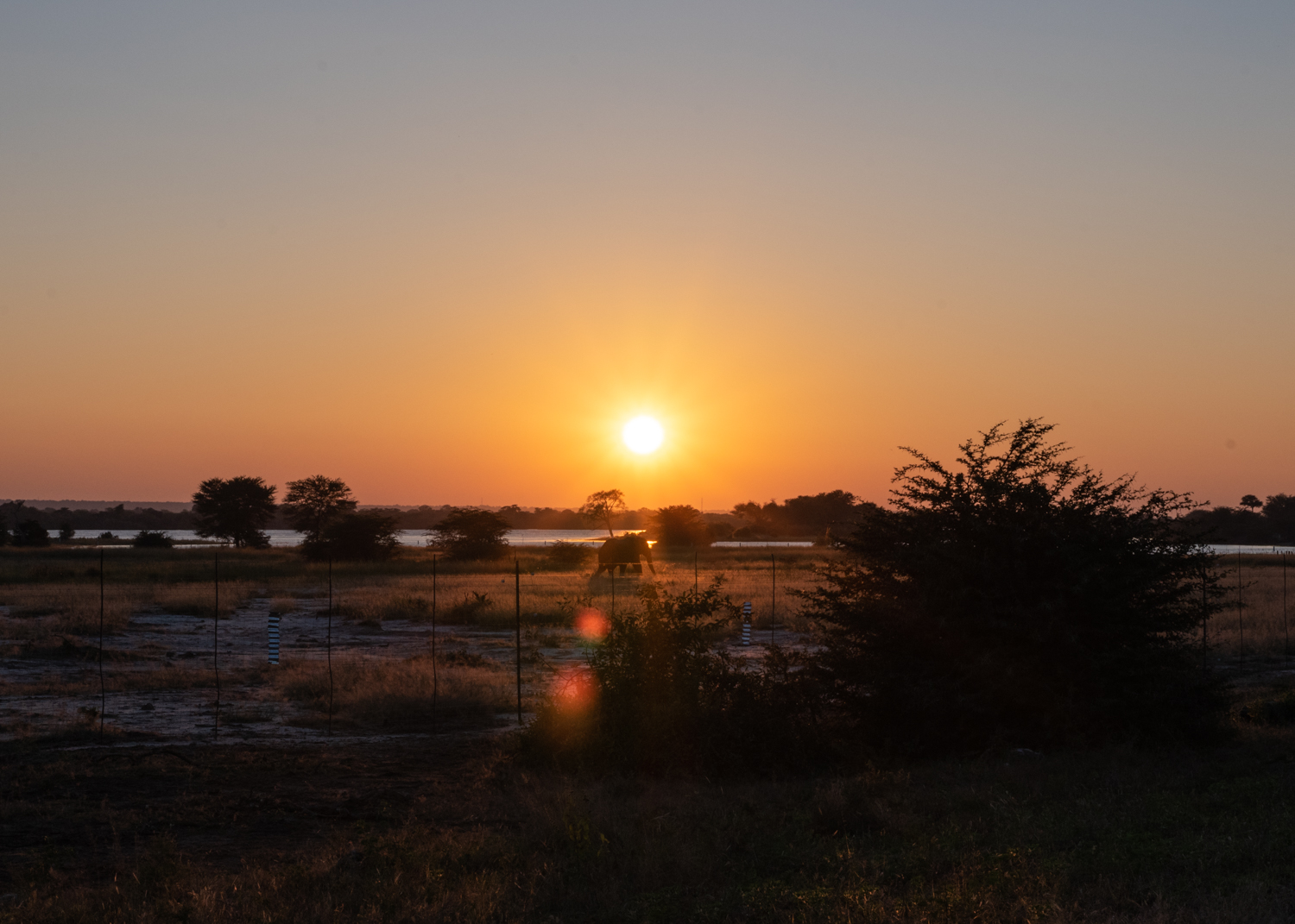 Only moments out of camp on the second day of Leg 4, we stopped for a warthog and then crossing under the rising sun, saw our first elephant of the journey. A lone bull, he just carried on and we all stood on our bikes watching amazed to experience something we had all envisioned for so many months.