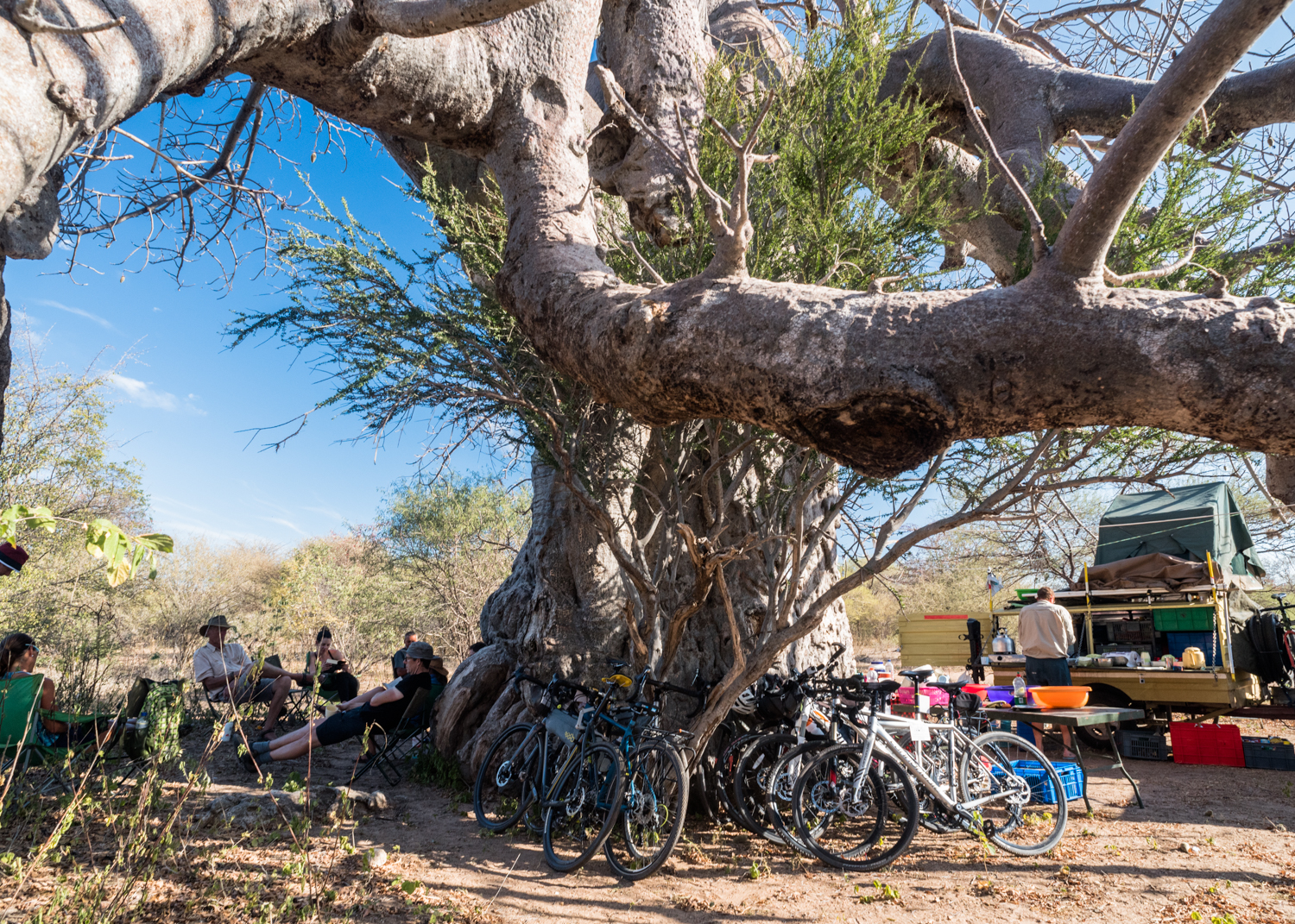 Wild camp somewhere near the Namibian border under an ancient Baobab Tree was one of the most spectacular nights of Leg 4. We set up the kitchen on one side and the lounge on the other reveling in the shade, it was the only tree we had seen for hours. Baobab are both protected and worshipped in many parts of Southern Africa, and we were visited by a church group who sang and danced under the tree that night.