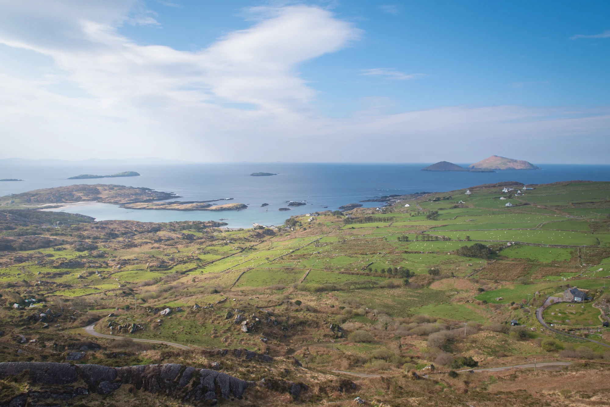 DSC_3946.jpg