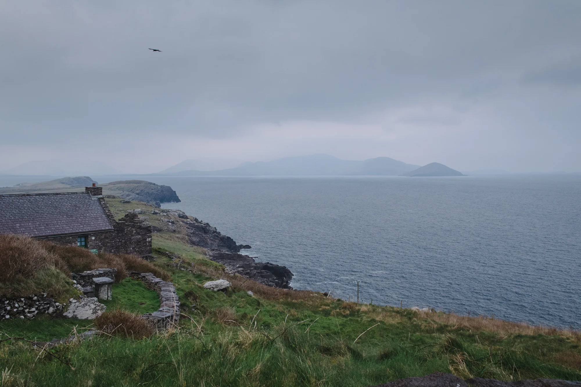 DSC_4032.jpg