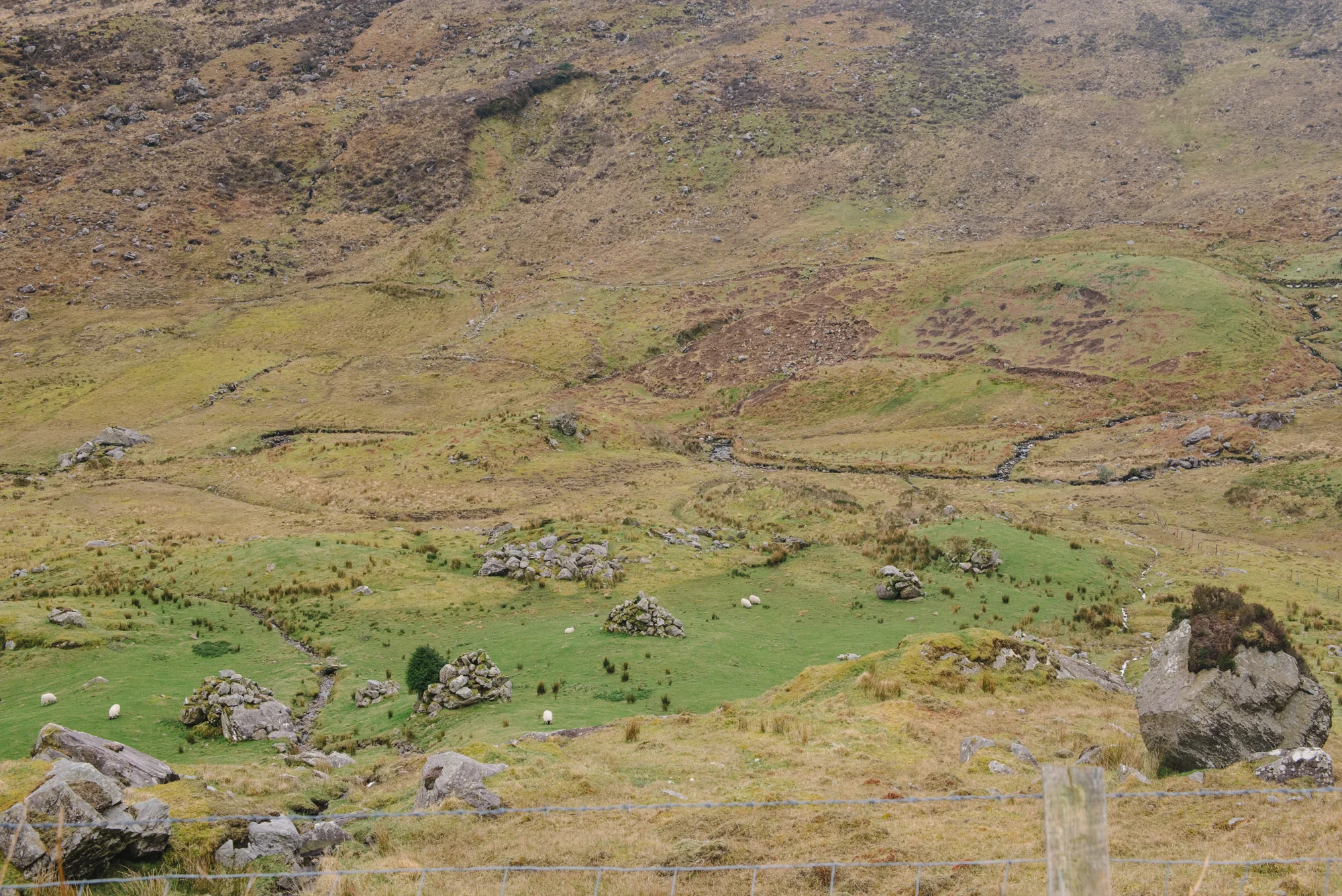 DSC_4056.jpg