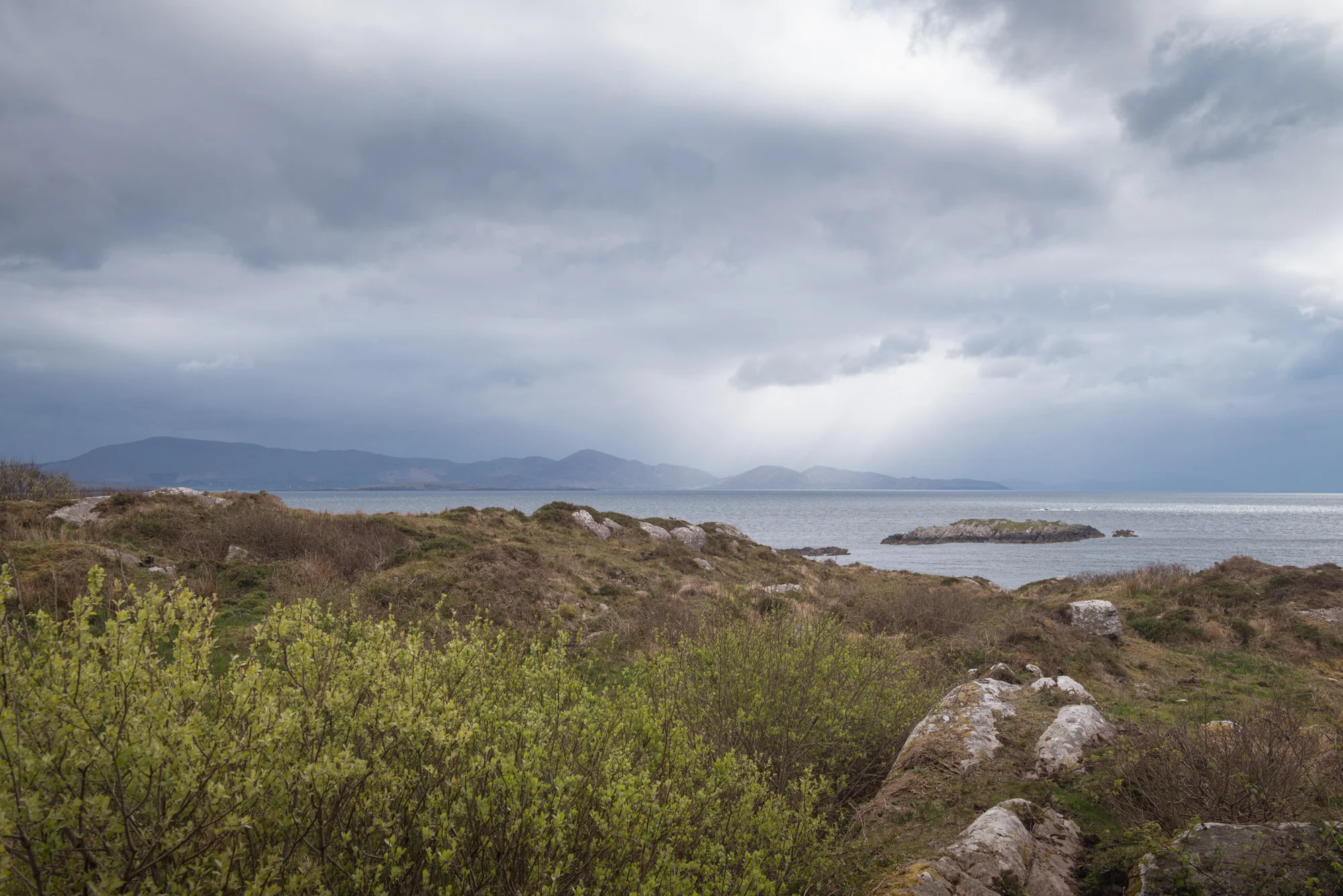DSC_4085.jpg