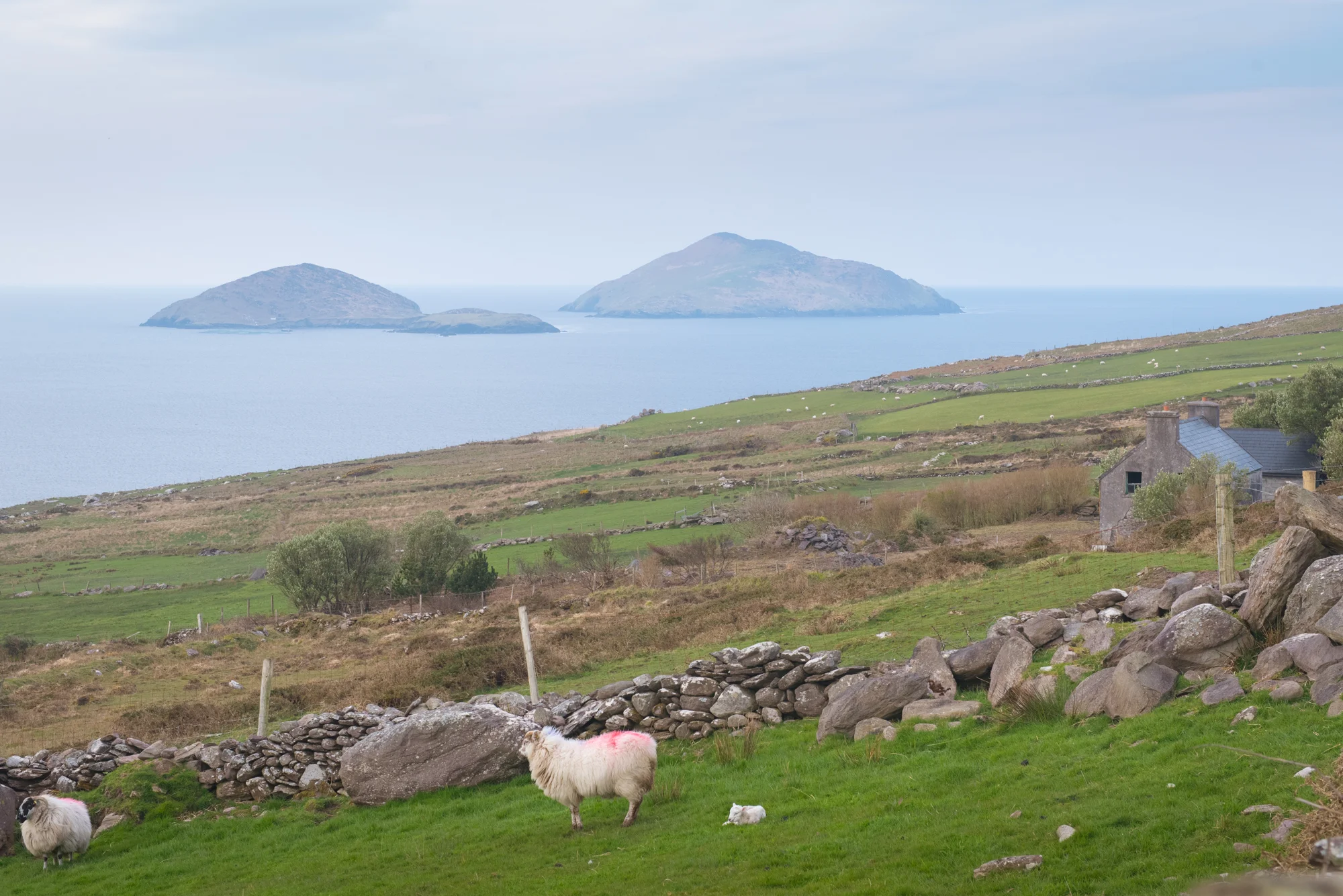 DSC_3963.jpg