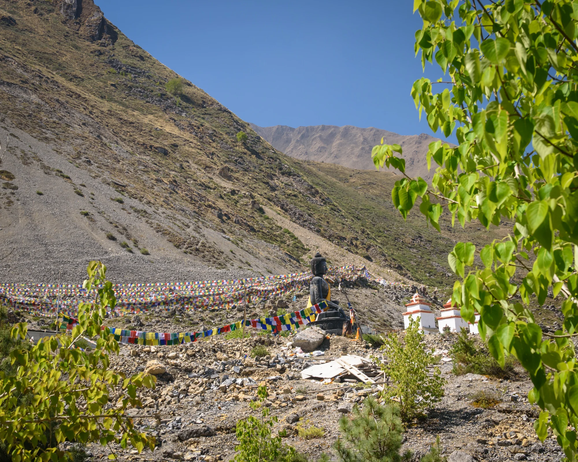 DSC_7326.jpg