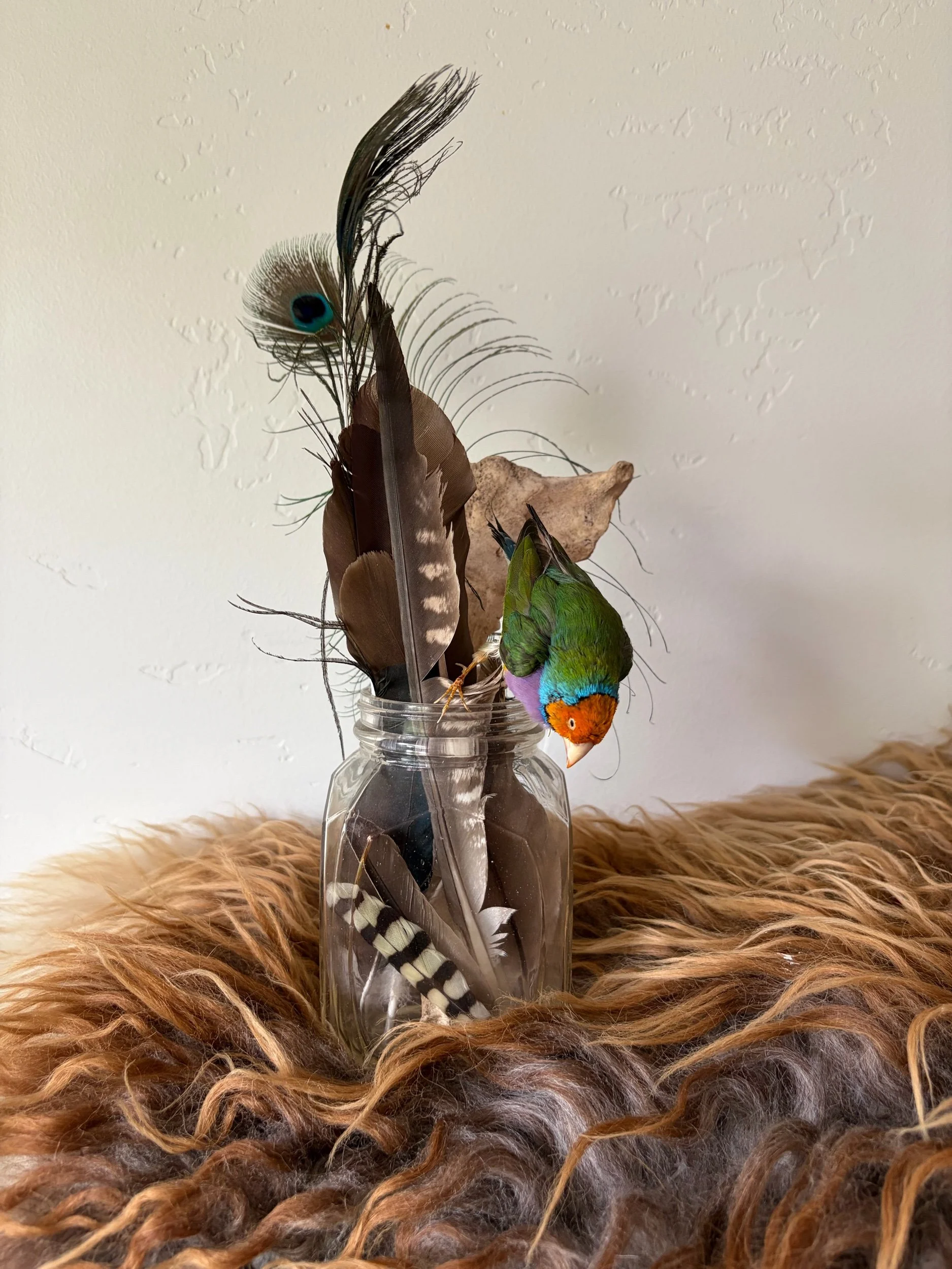 CCCA5D82-D09A-4094-BBEA-2E32CA646862.jpeg