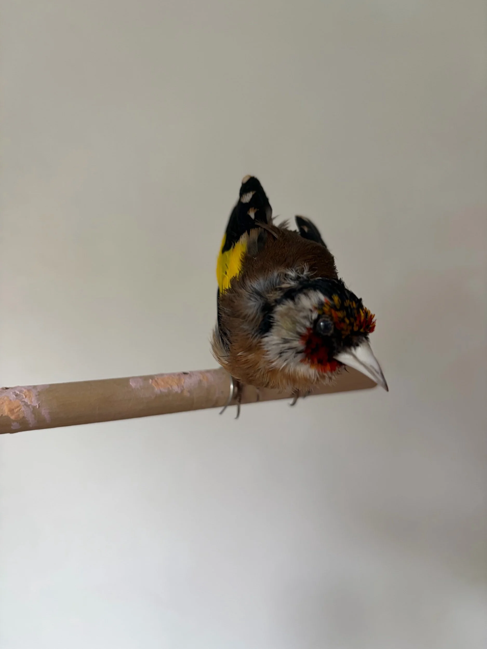 670827DF-FFC7-4719-81CC-8283E58F1B01.jpeg