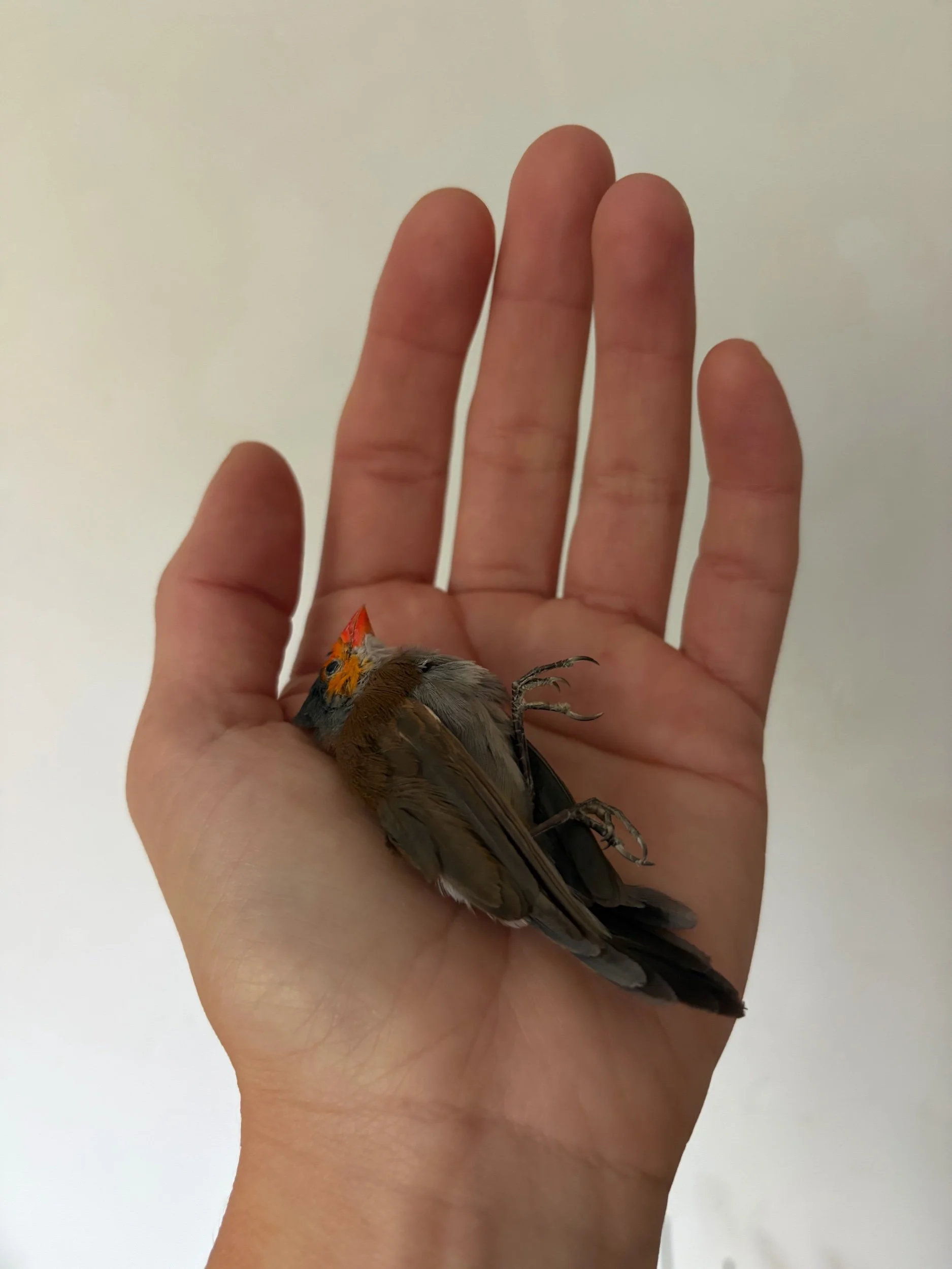 F0AEA8DF-A564-48E3-A17E-67D97149AF37.jpeg