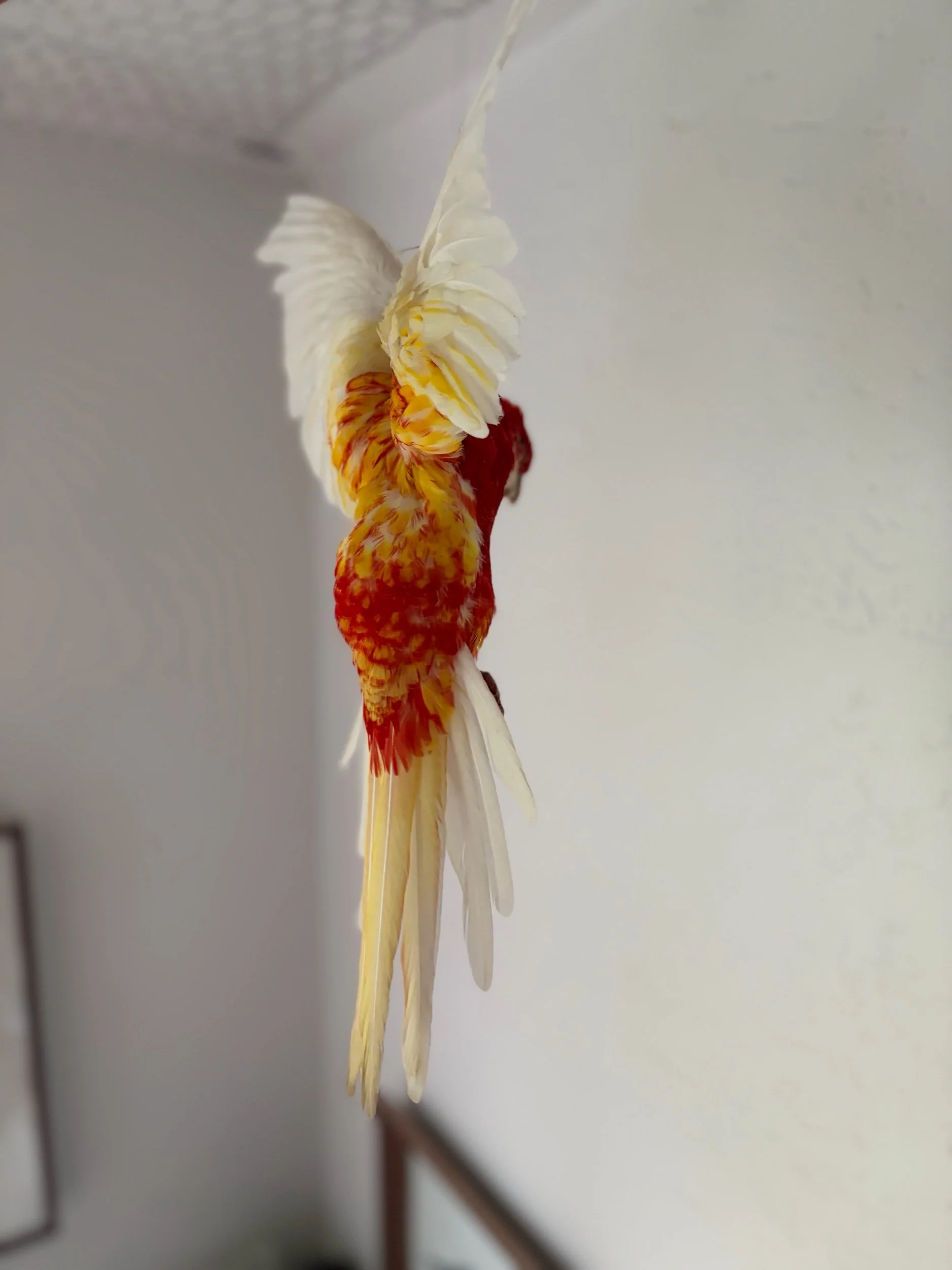 16CA257B-E914-4074-8286-E98E5E0155F9.jpeg