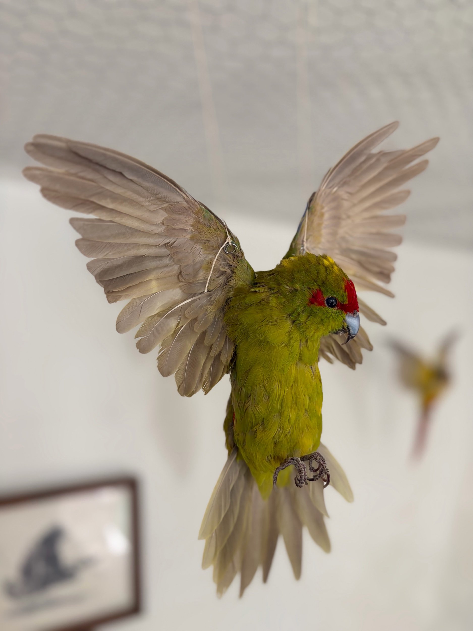 9C0085D6-C9AC-4D93-A6EC-A91CCCAE13A9.jpeg