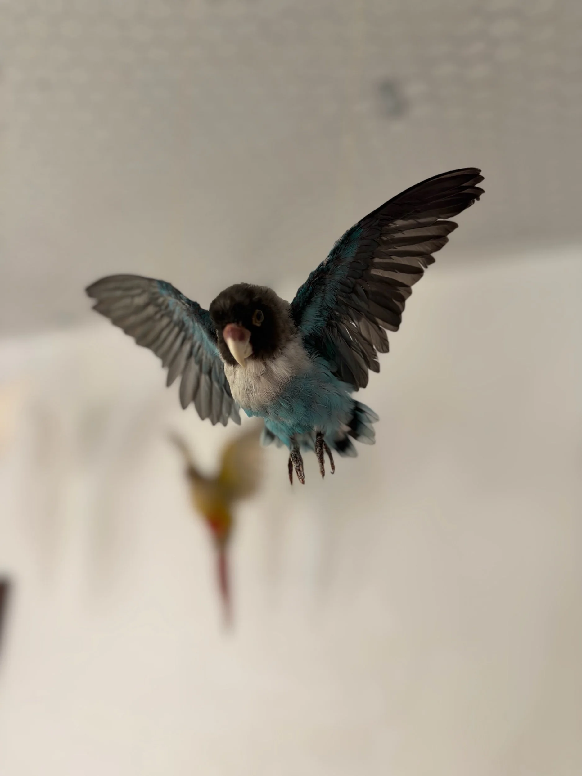 A23C7B3D-0998-415C-A544-5F7BD031C5E5.jpeg