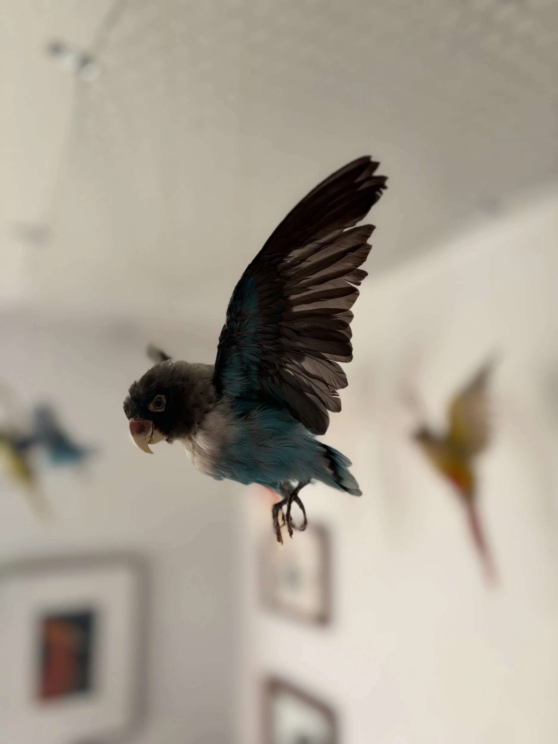 7842778F-BFA9-4A15-8BA6-79D0326F4962.jpeg