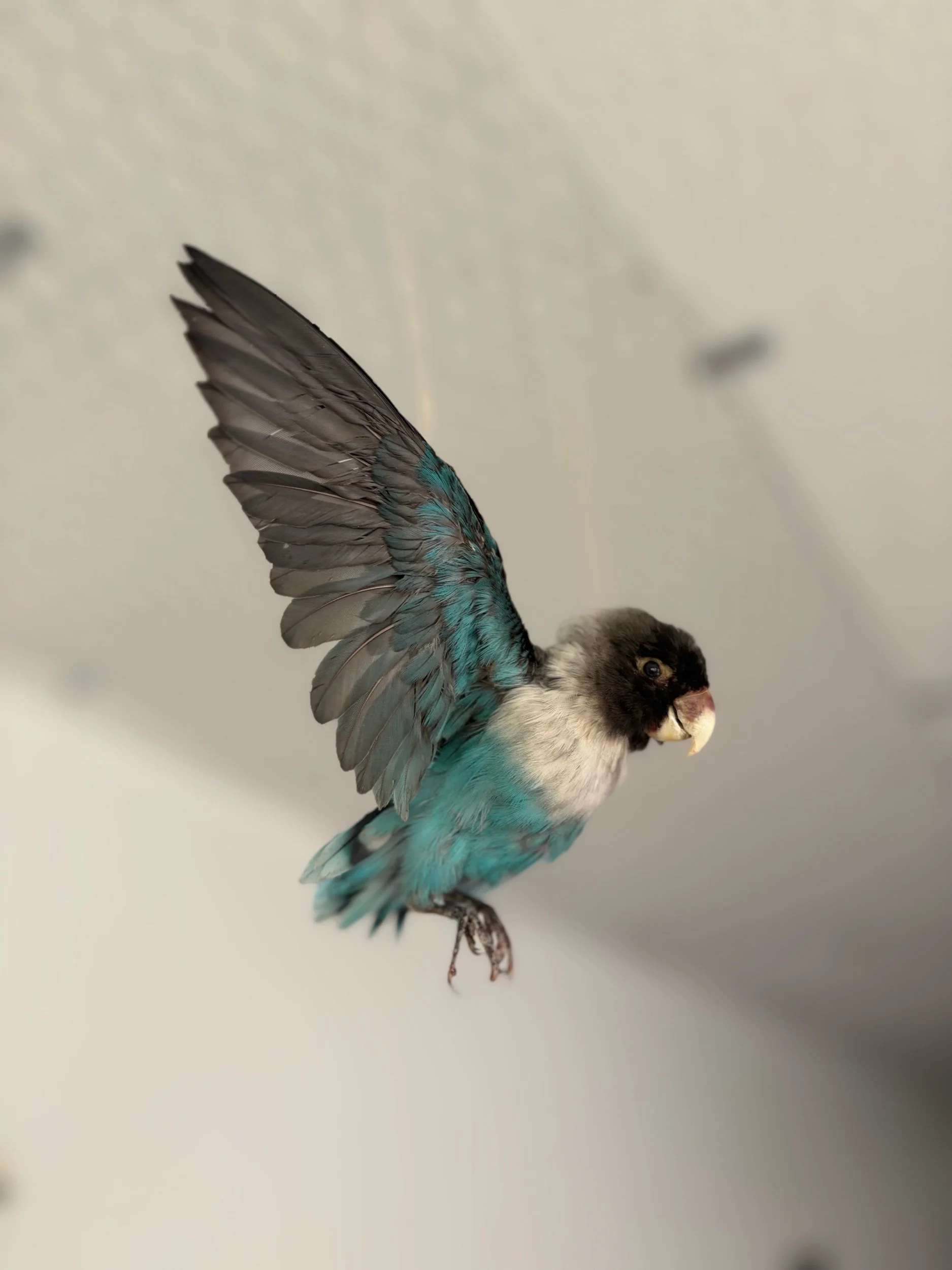 24E87120-88F4-4863-B2F5-39C804231652.jpeg
