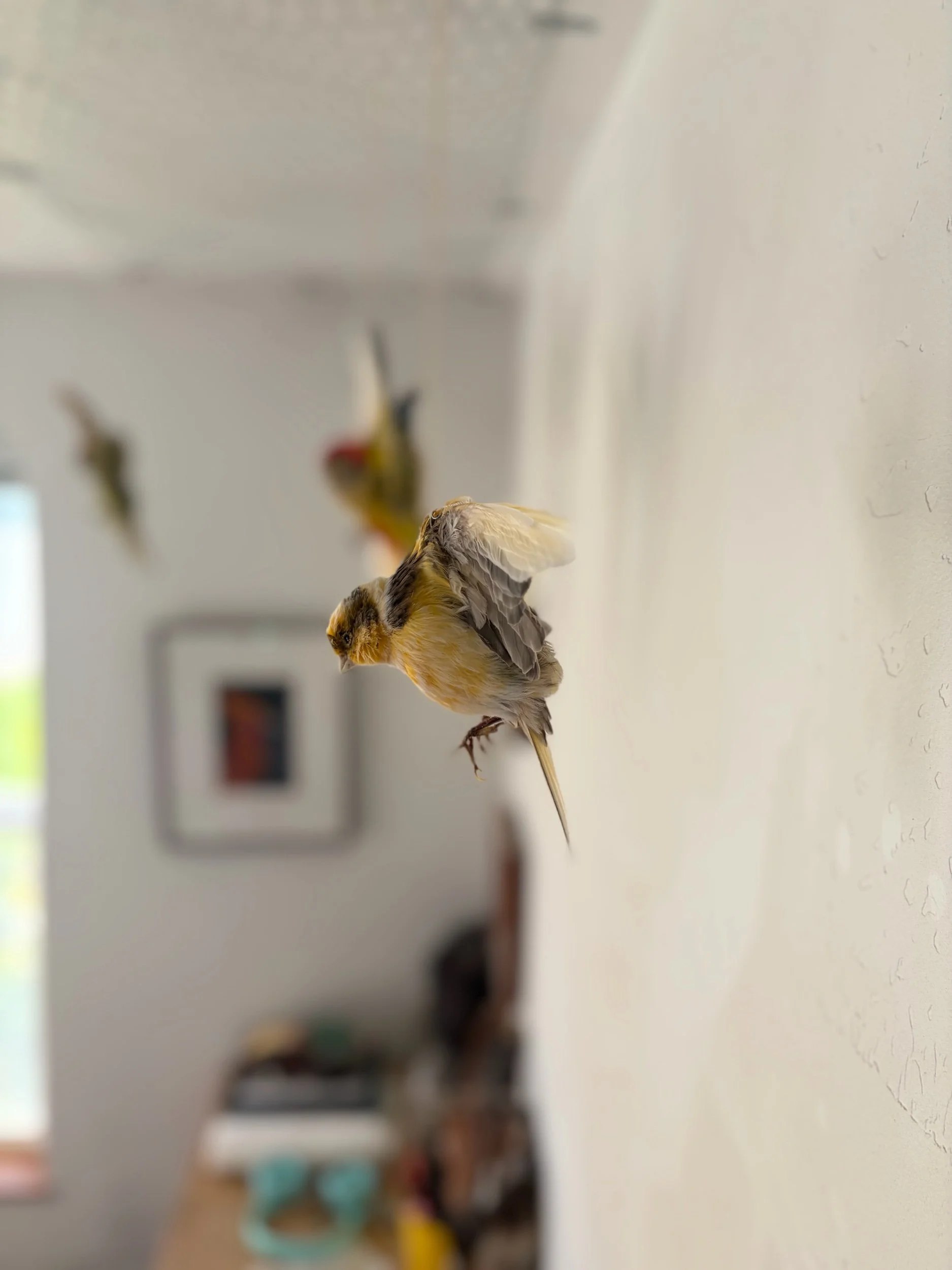 850AB926-0A3F-4FEB-9648-AD3322F87F06.jpeg