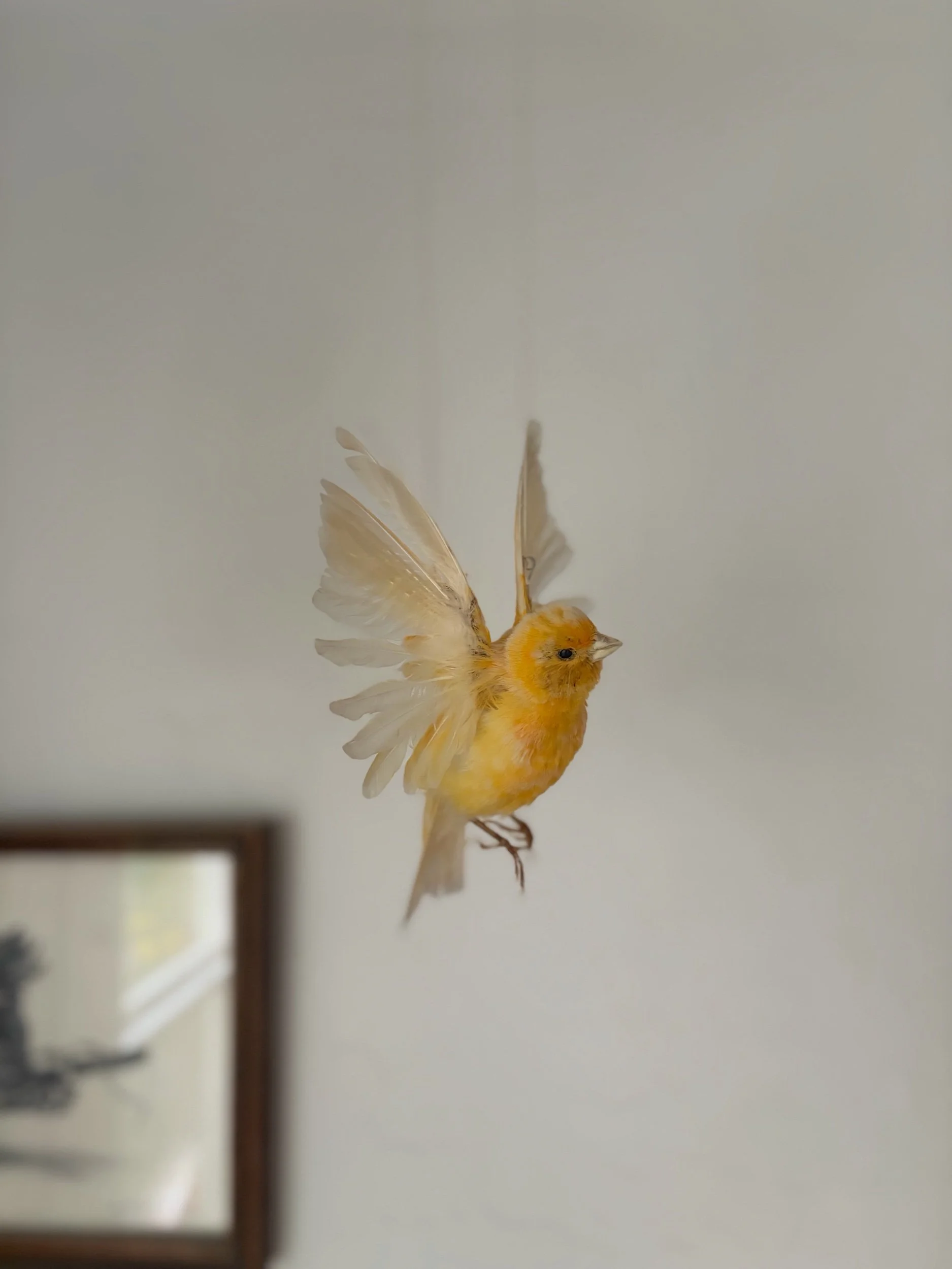 D6AF370B-AD15-4476-B321-F73B98B64BF0.jpeg