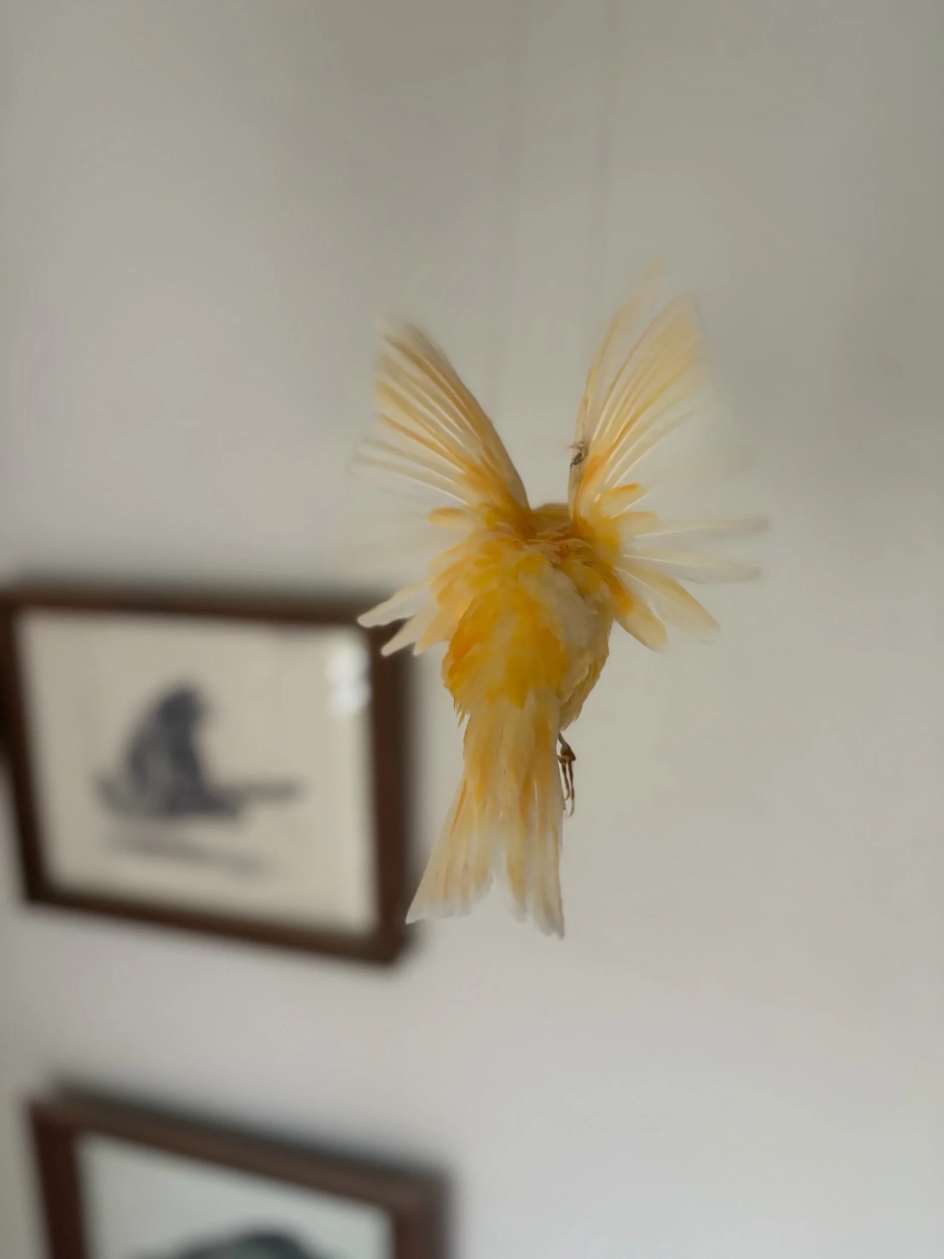 BD19F57C-0638-4632-B37C-E27FD9293CC6.jpeg