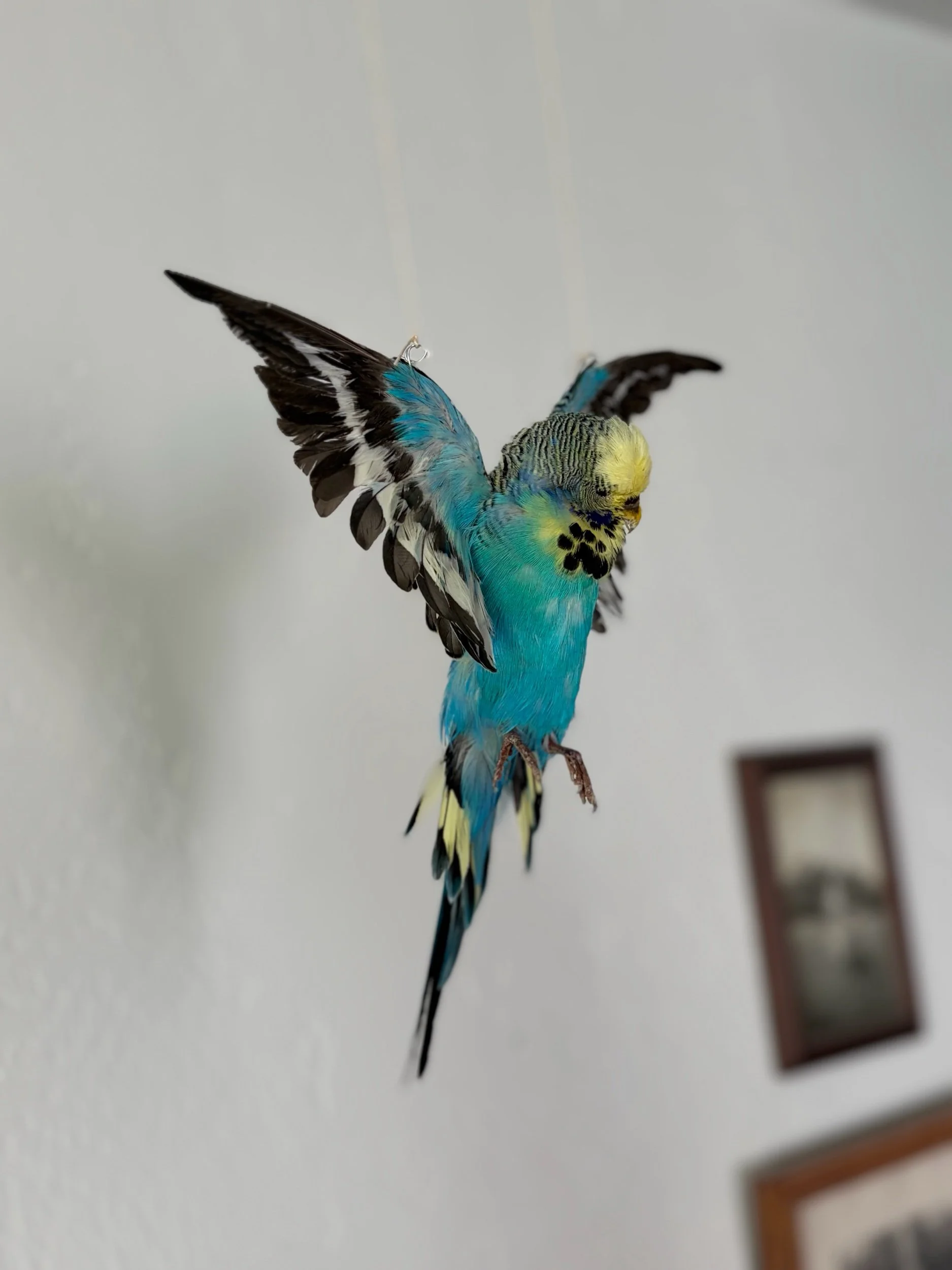 220E130C-71D8-42A3-B06C-D2446C009525.jpeg