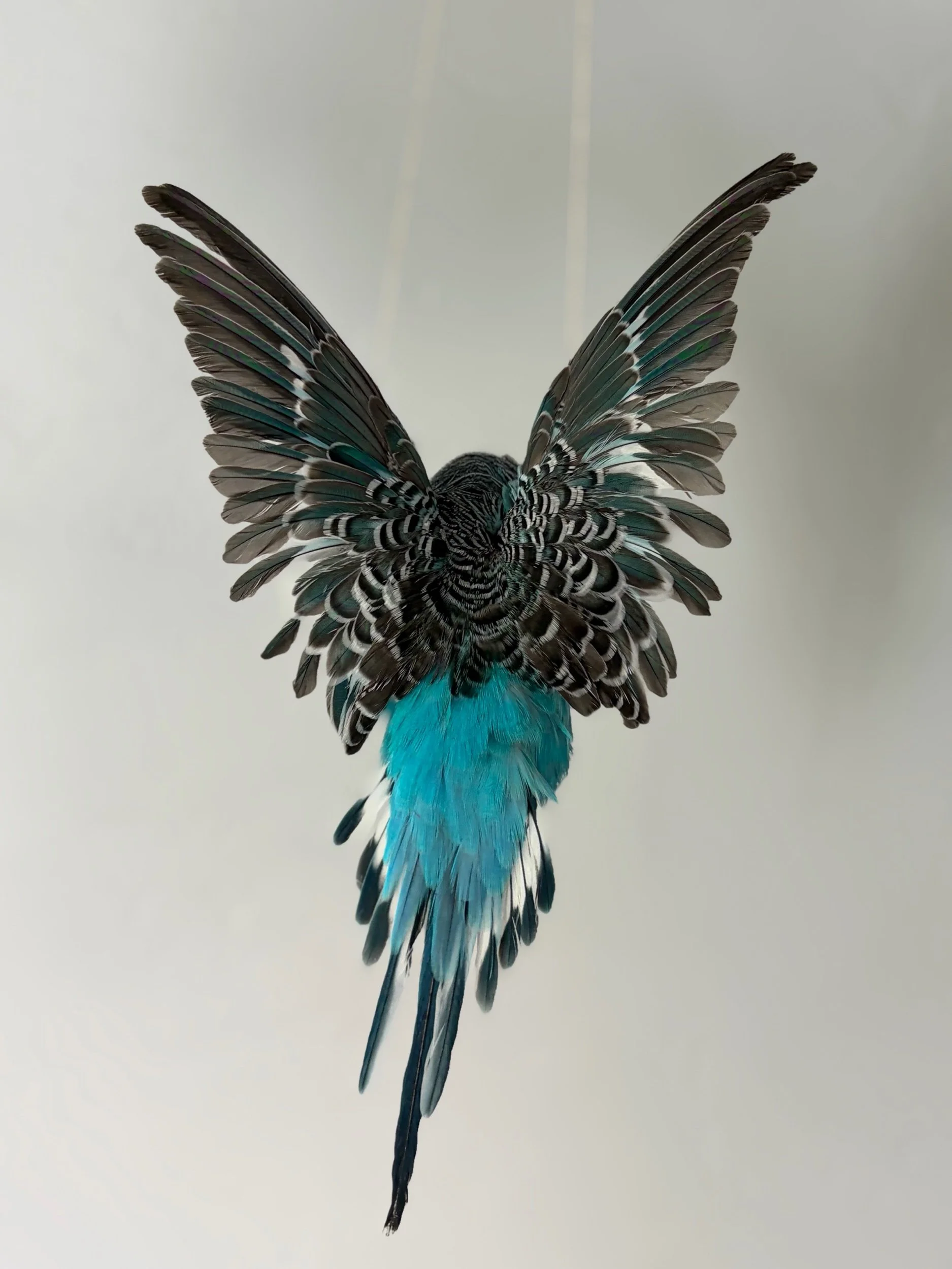 61CAA130-153F-4F65-873F-30EA685B9D62.jpeg
