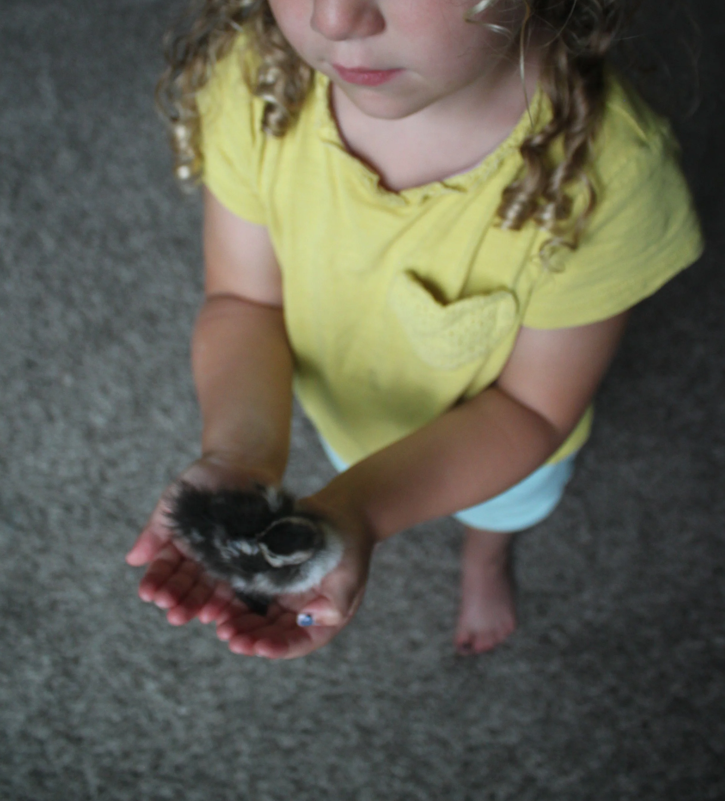 IMG_7744.png