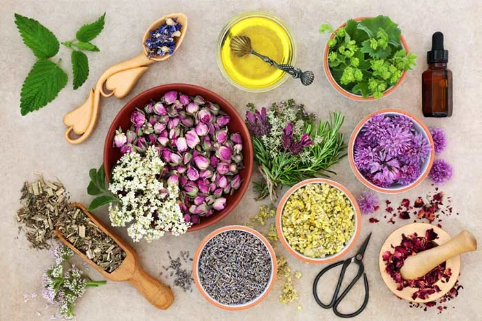 Aromatherapy.jpg