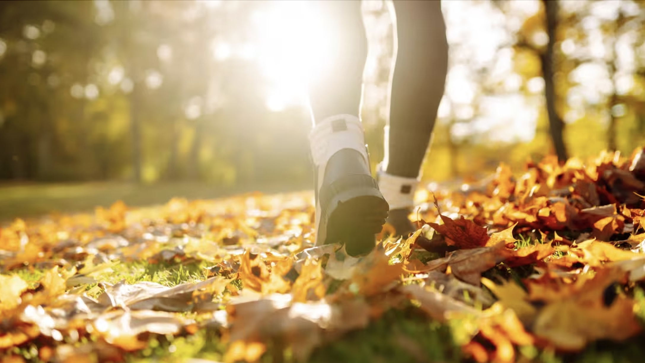 20 Gentle Ways to Unwind: Your Stress Relief Toolkit