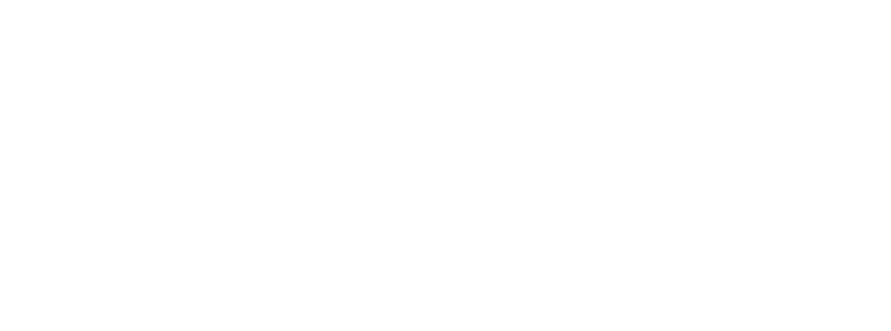 MindSpring-Logo_REV.png