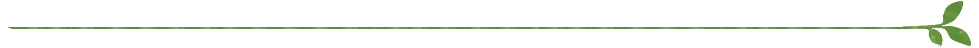 leafline.jpg