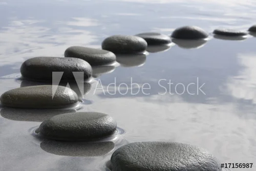 500_F_17156987_jJjPy2nHLmRzRZ2u1npy7VwMi9jlTVQ3.jpg