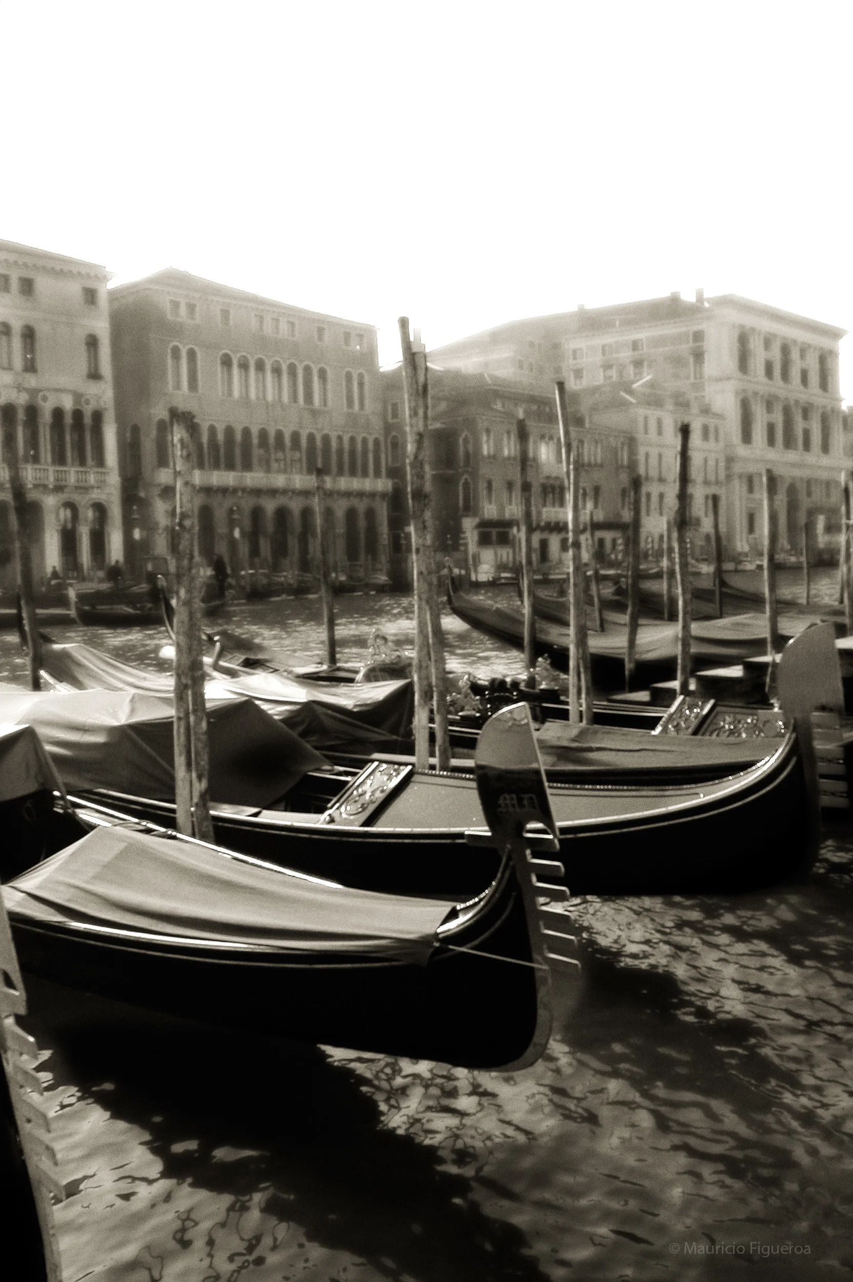 DSCN1776a.jpg