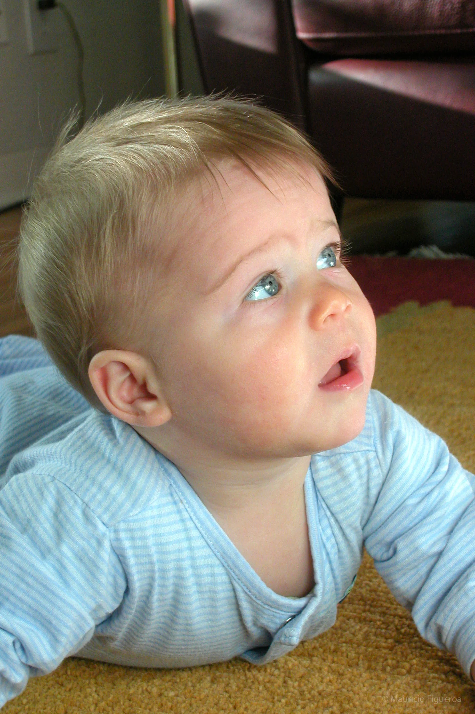 DSCN5569a.jpg