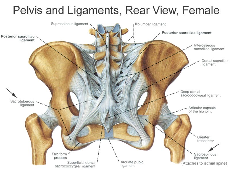 Tailbone Pain: Overview, Causes, and Treatment