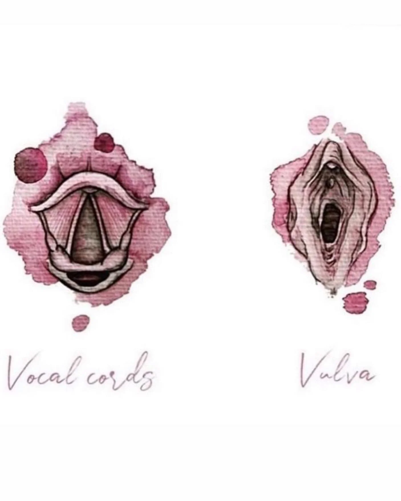 vocal cord and vulva.jpg