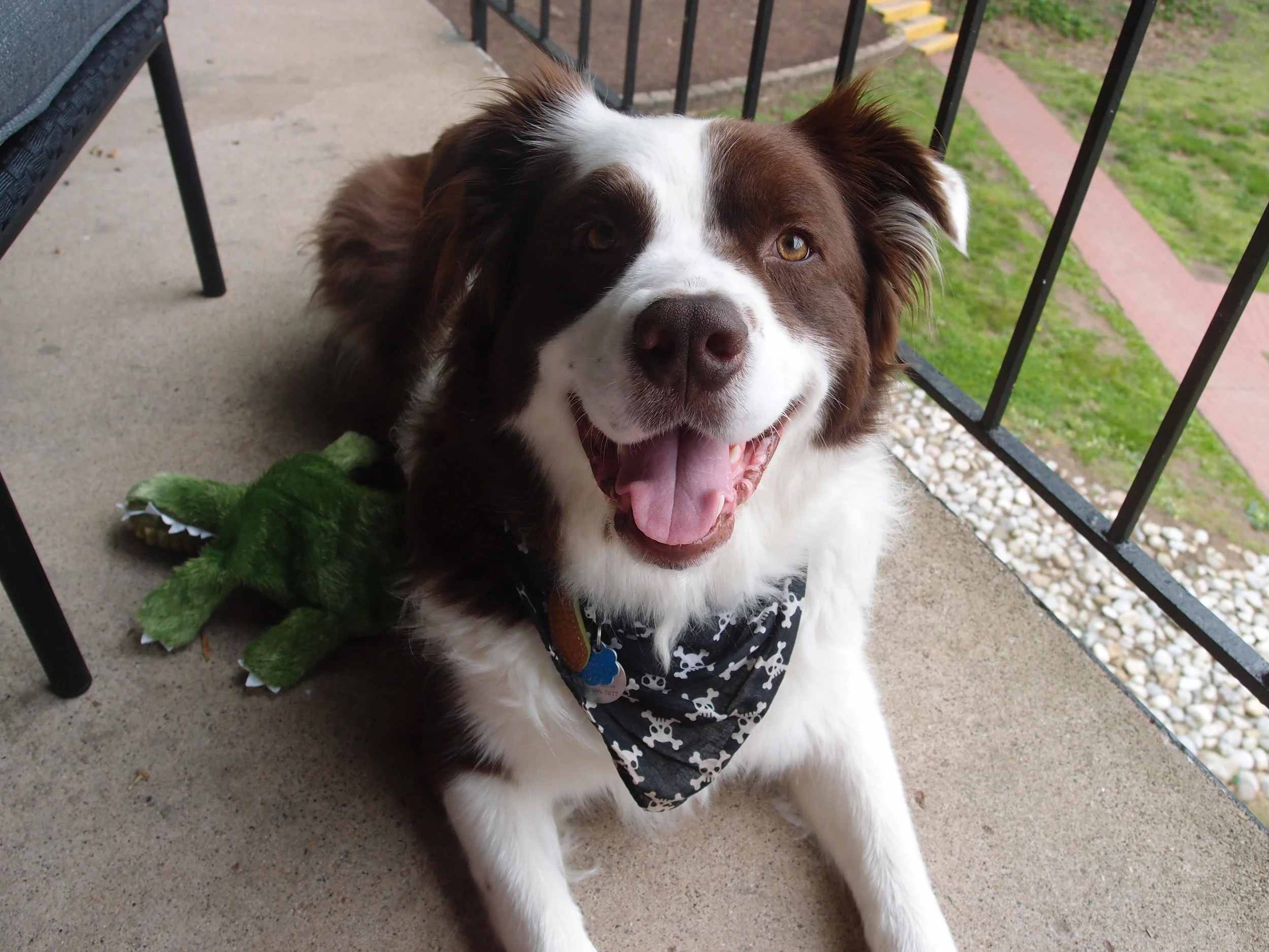 How to be a Better Friend