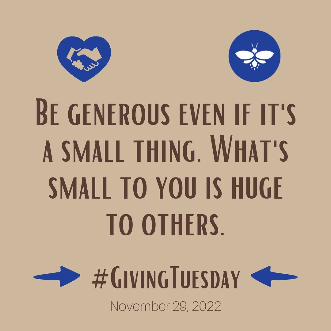 We are so thankful to everyone who made Firefly Nights possible in 2022. Consider making a donation towards 2023 on #givingtuesday #fireflynights #fireflynightsbg #thinkbgoh