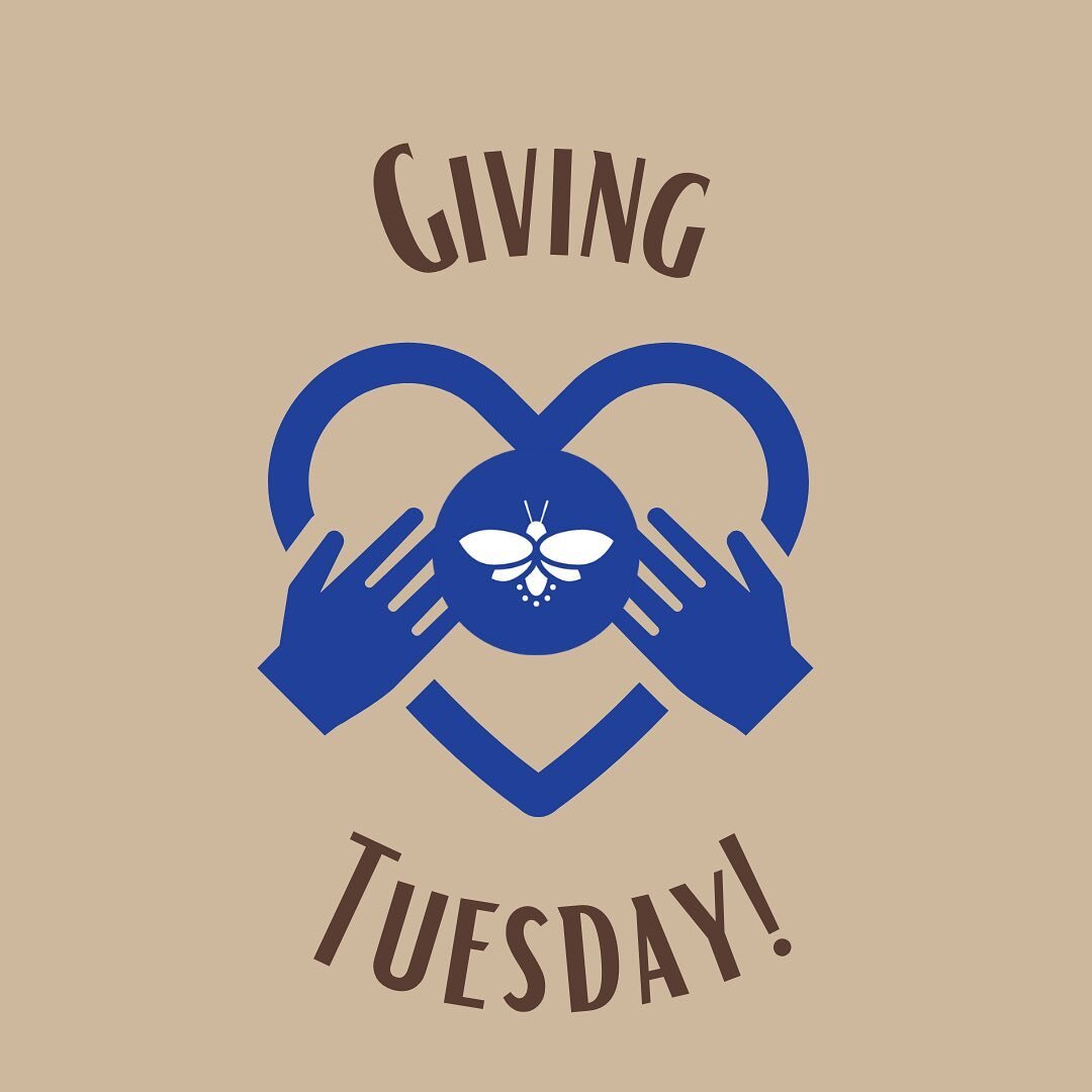 This Tuesday, November 29, is Giving Tuesday. A day to give back to the nonprofit organizations that give so much to our community. Firefly Nights is a nonprofit and we are able to provide opportunities for the community to come together through peop