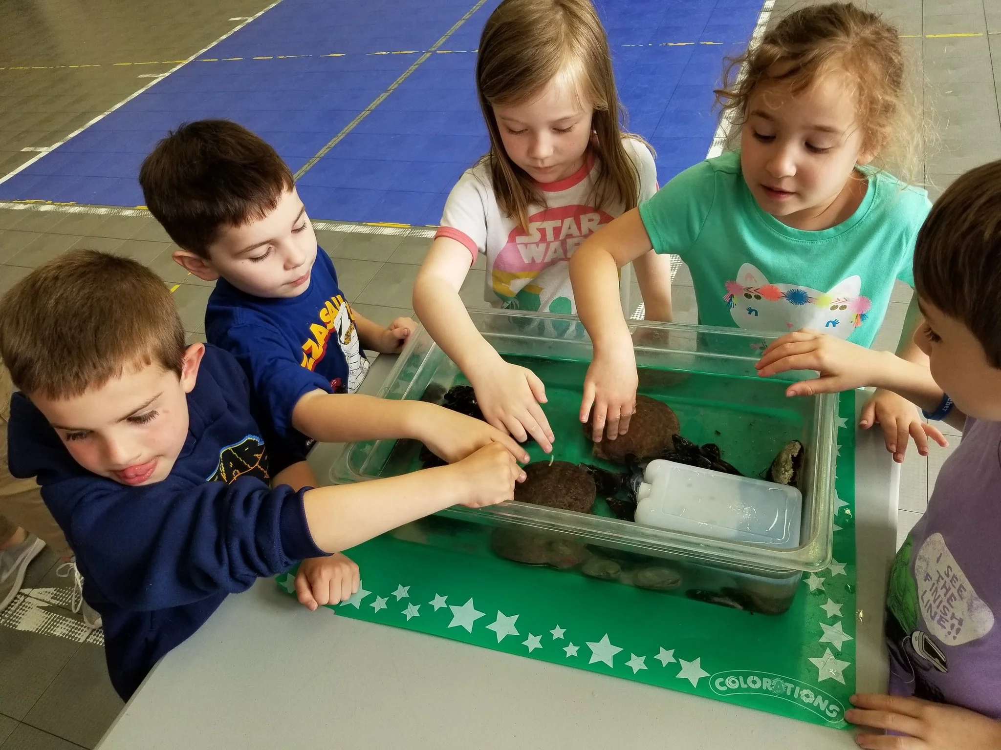 Tidepools Alive! Preschool and Kindergarteners learn about marine habitats
