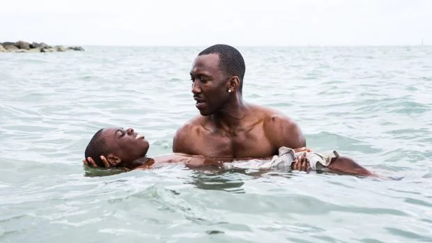 Moonlight in review.jpg