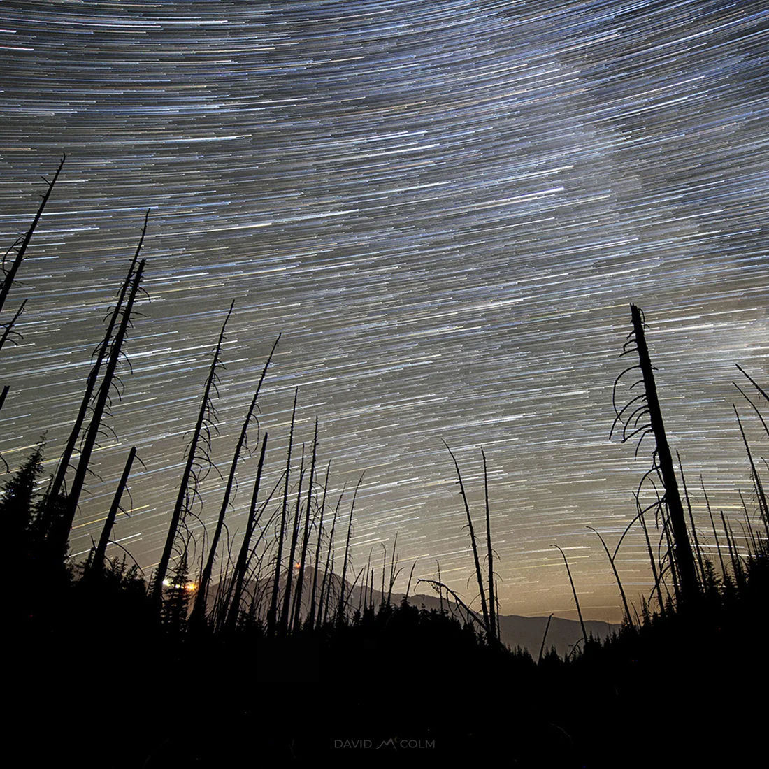 WhistlerValley-PondStarTrail1.jpg