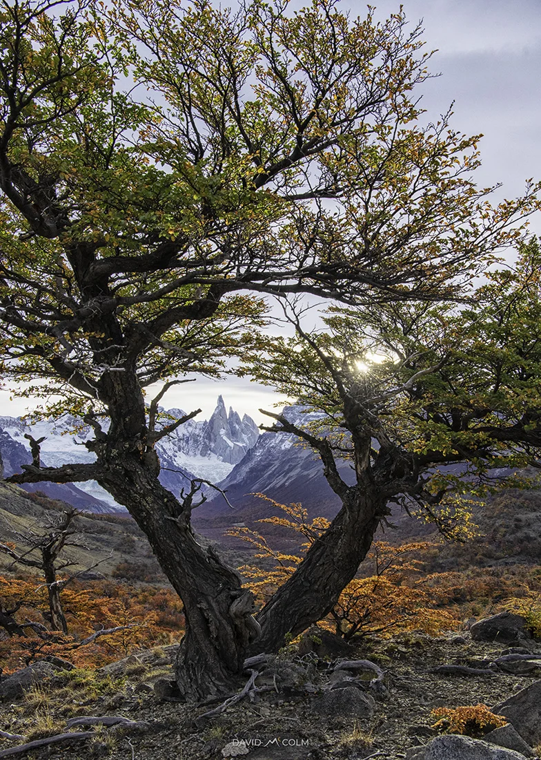 _D901963-HDRweb.jpg