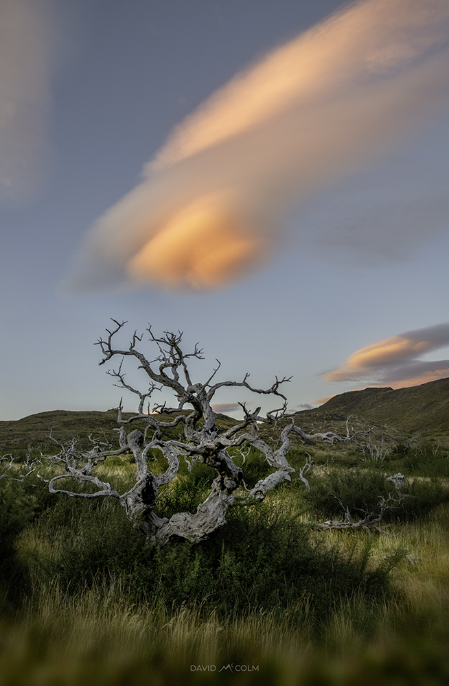_D906391-HDR-Edit2.jpg
