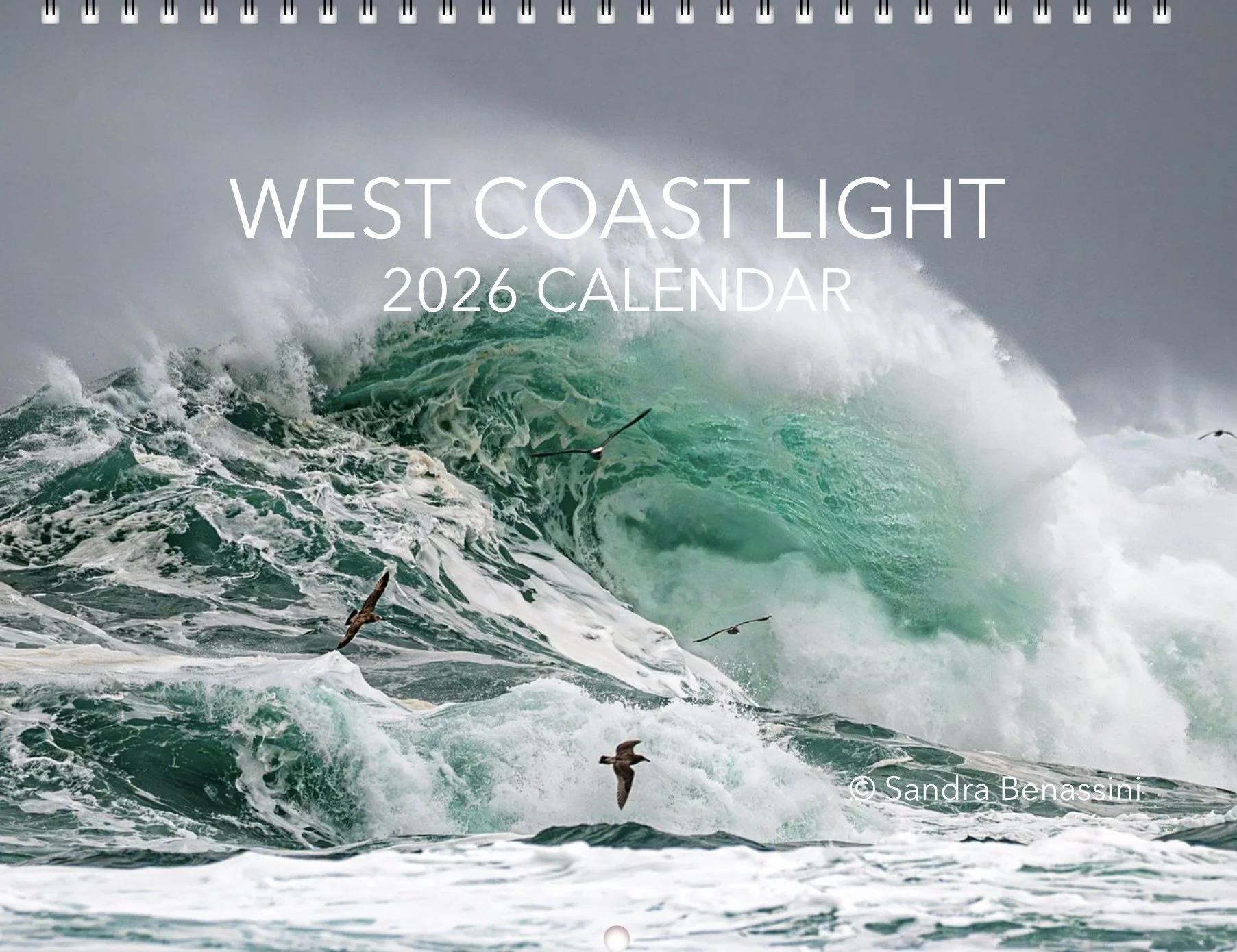 Sandra Benassini's 2026 Calendar - West Coast Light